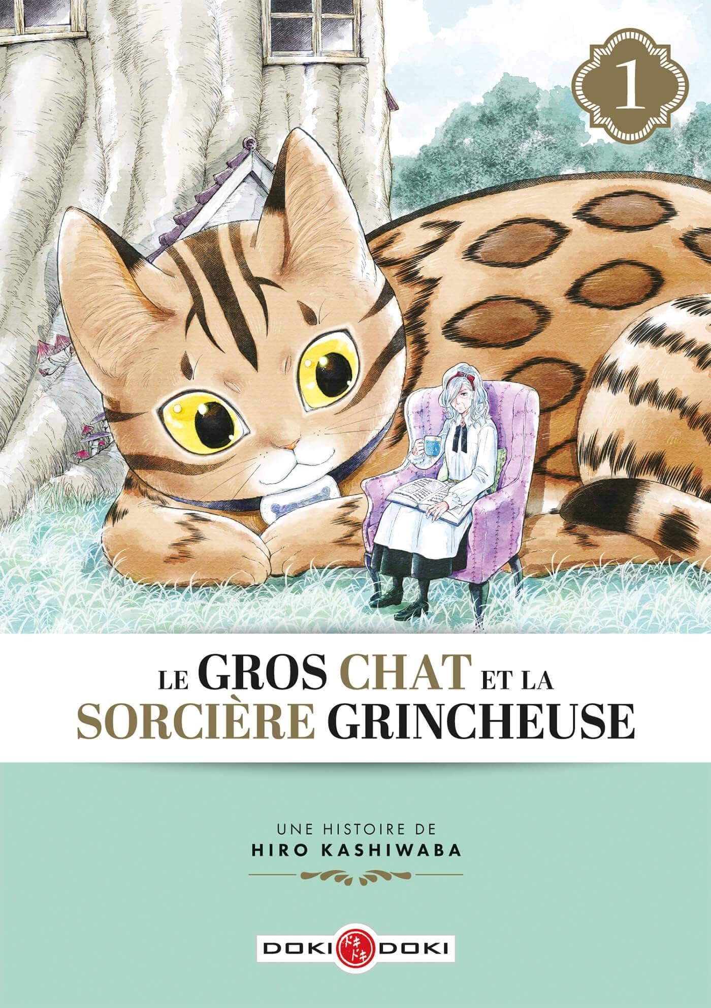 Le Gros Chat et la Sorcière grincheuse - vol. 01 9791041102150