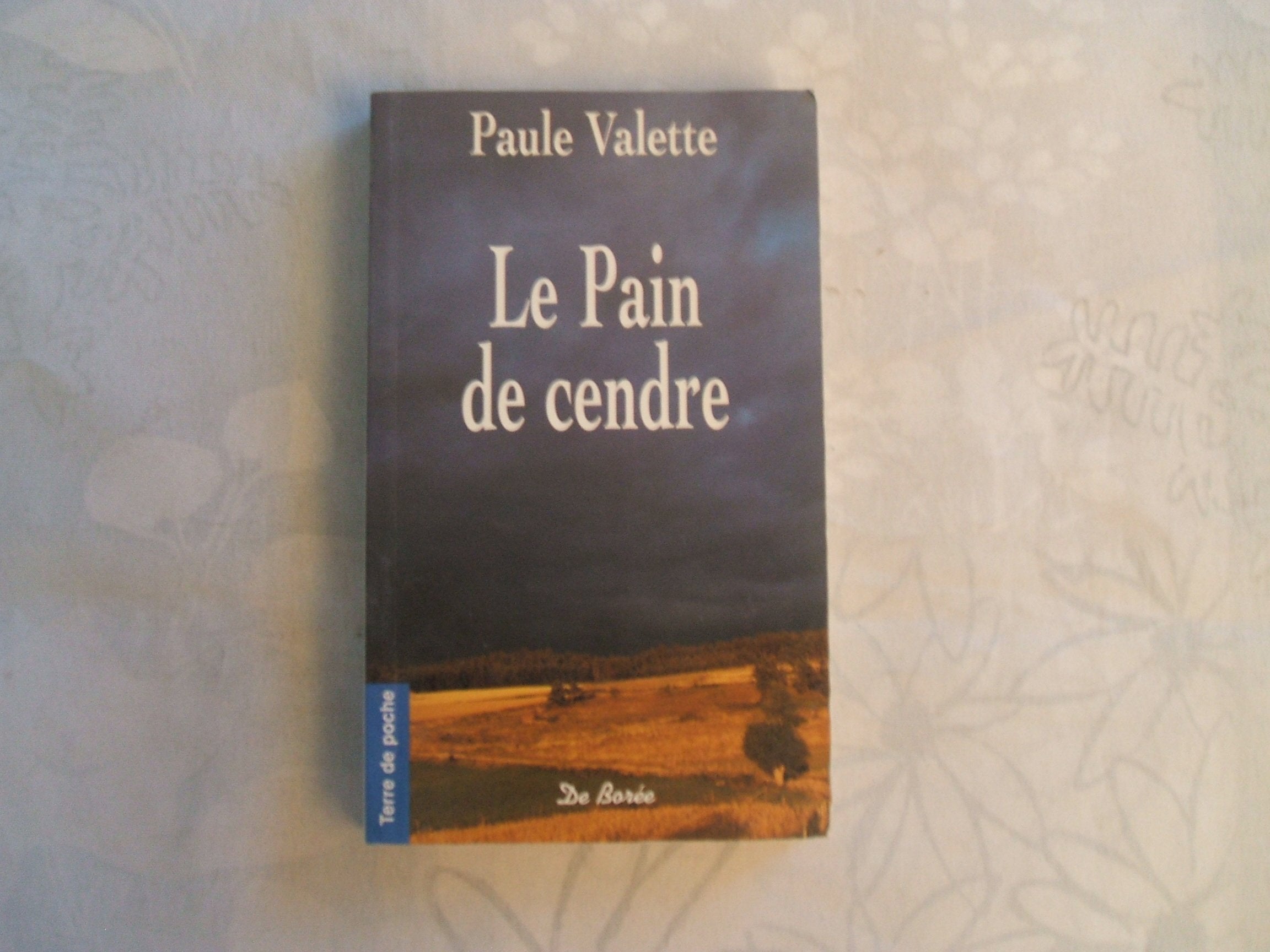 Pain de cendre (poche)Réimpression 9782844941107