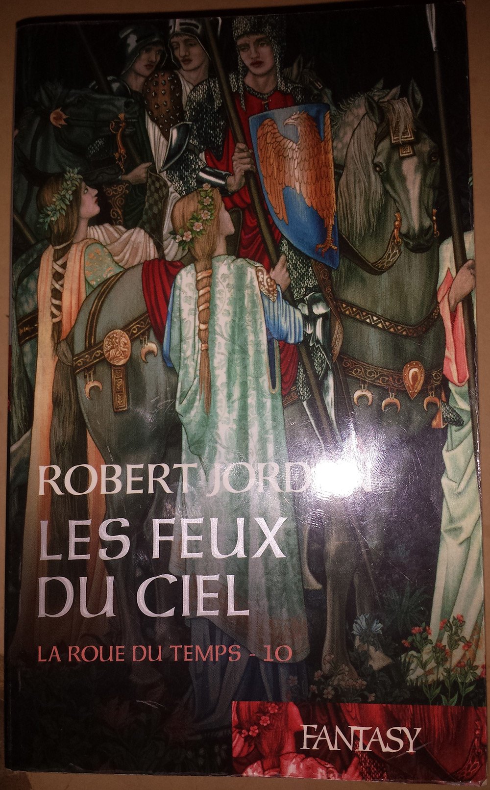 Les feux du ciel 9782298001402