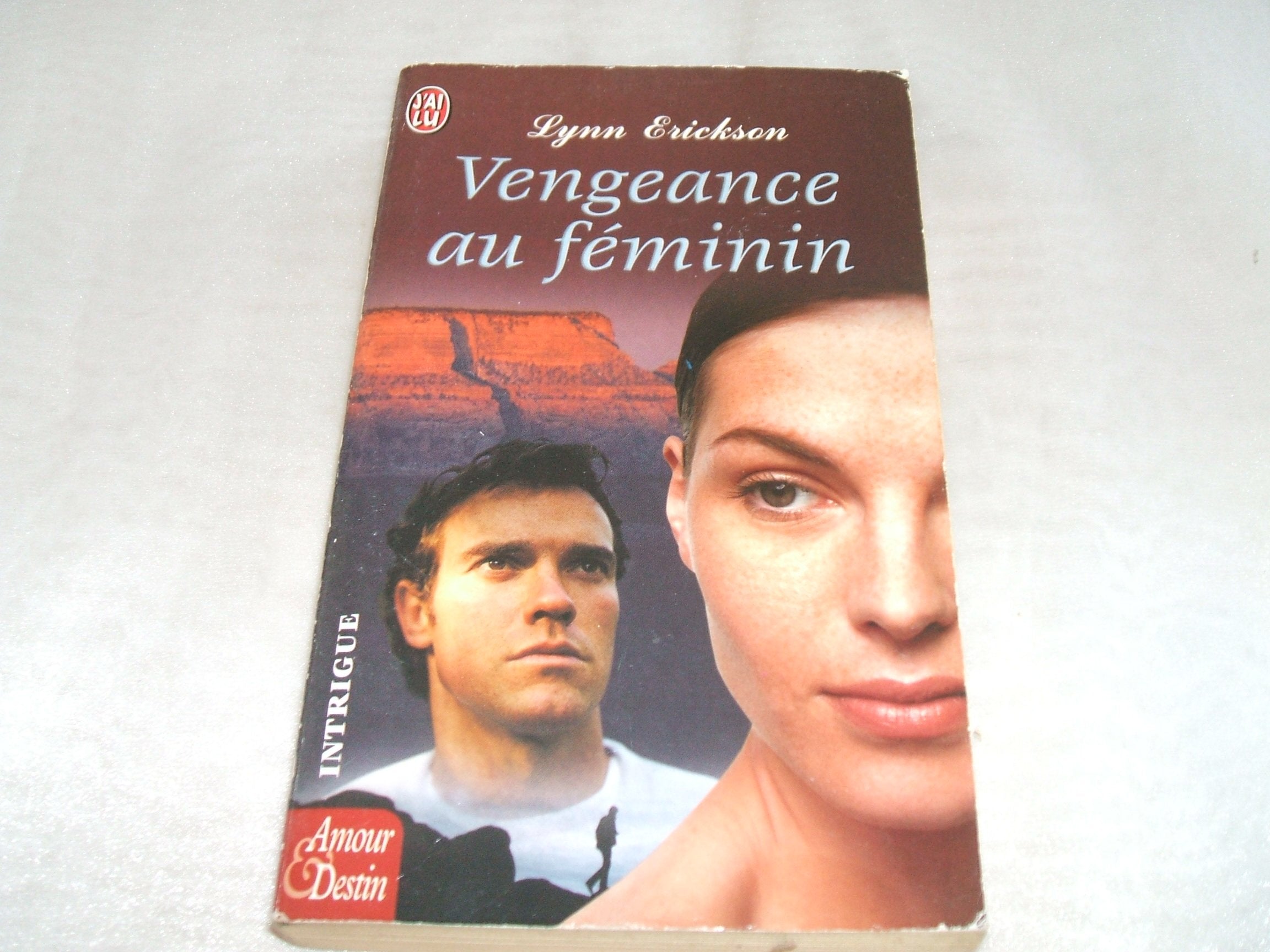 Vengeance au féminin 9782290328897