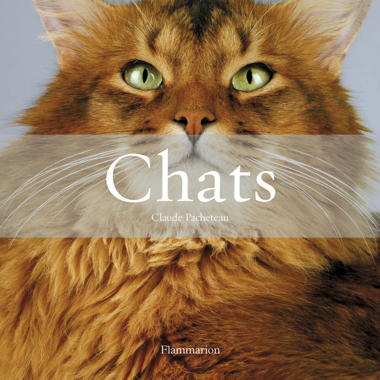 Chats (Coffret): Histoires de chats - Les Plus Beaux Chats 9782081201415