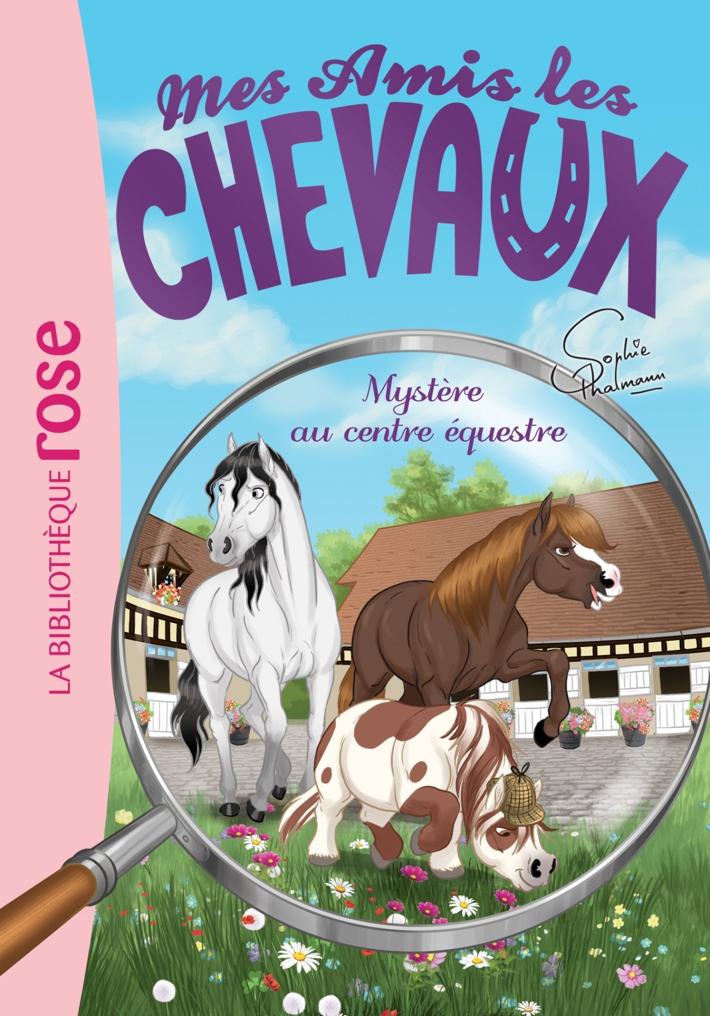 Mes amis les chevaux 12 - Mystère au centre équestre 9782012318687