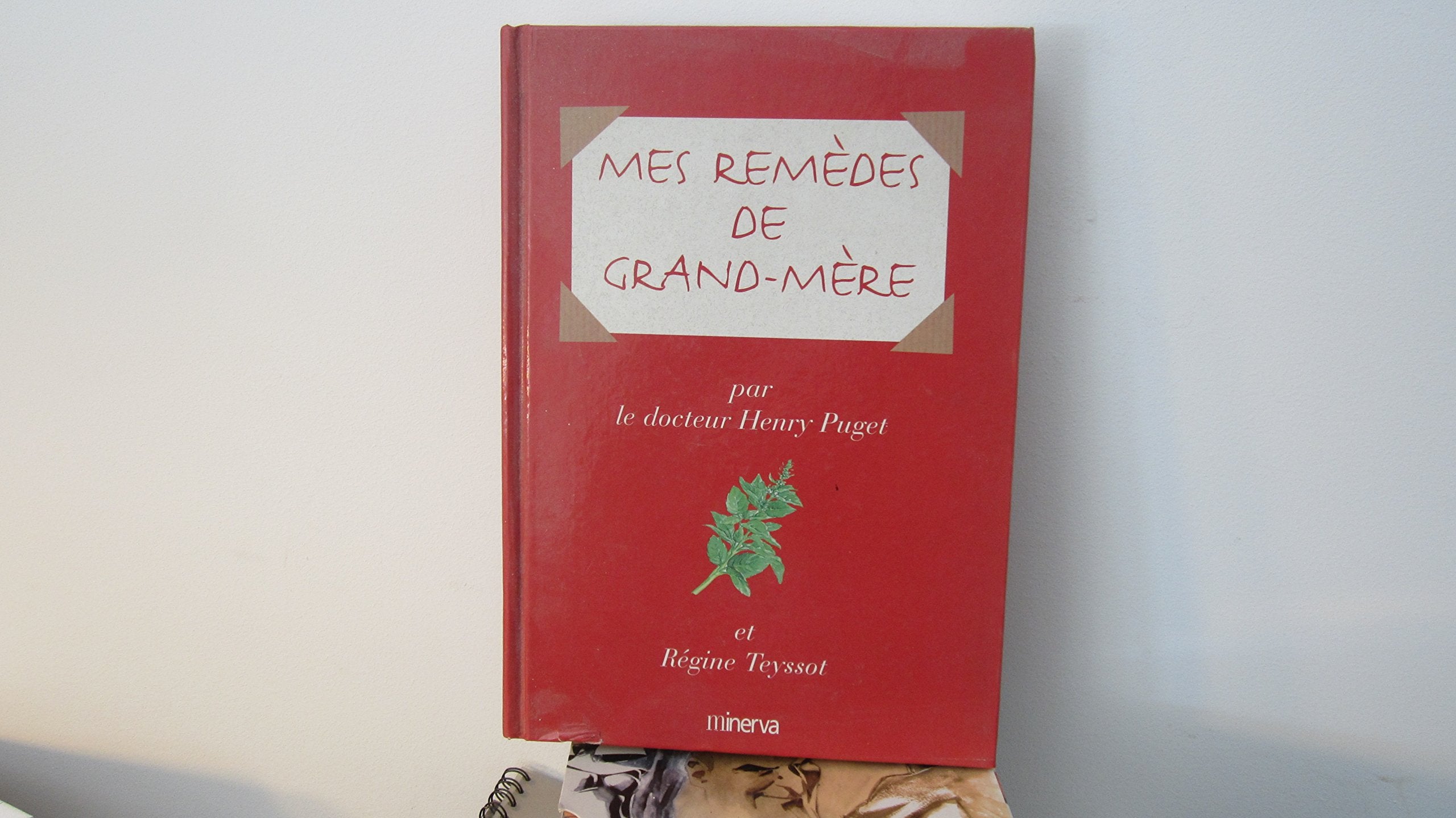Mes remèdes de Grand-Mère 9782830705867
