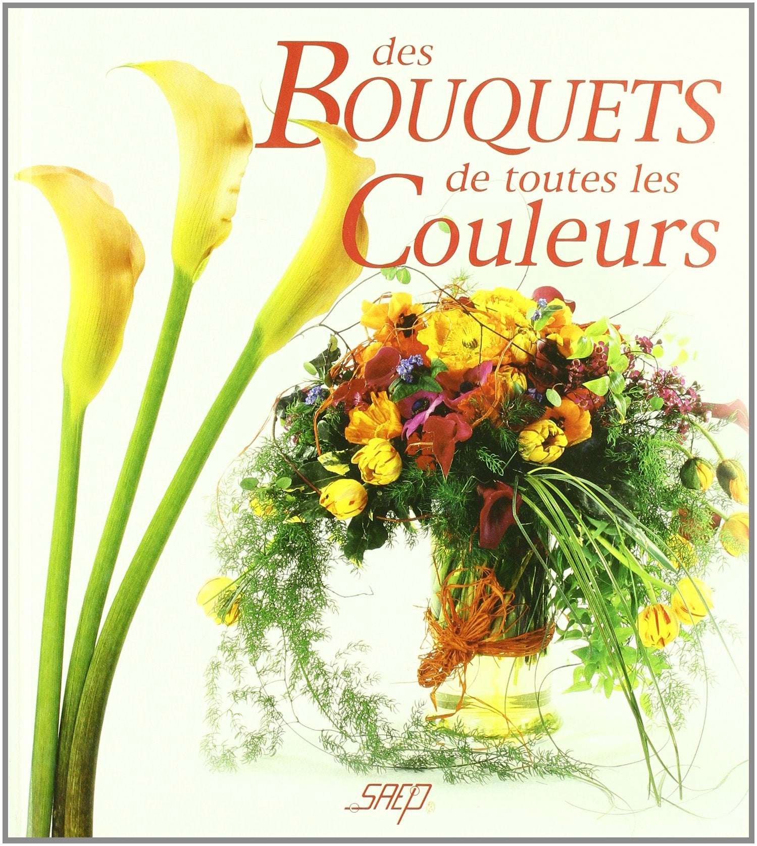 Des bouquets de toutes les couleurs 9783907499788