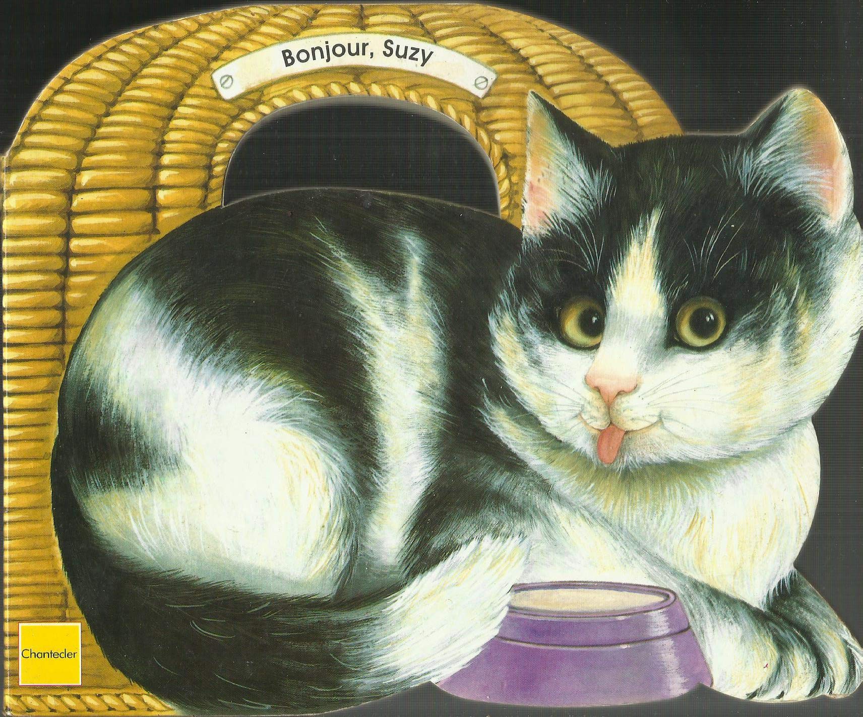 Bonjour, Suzy 9782803424467