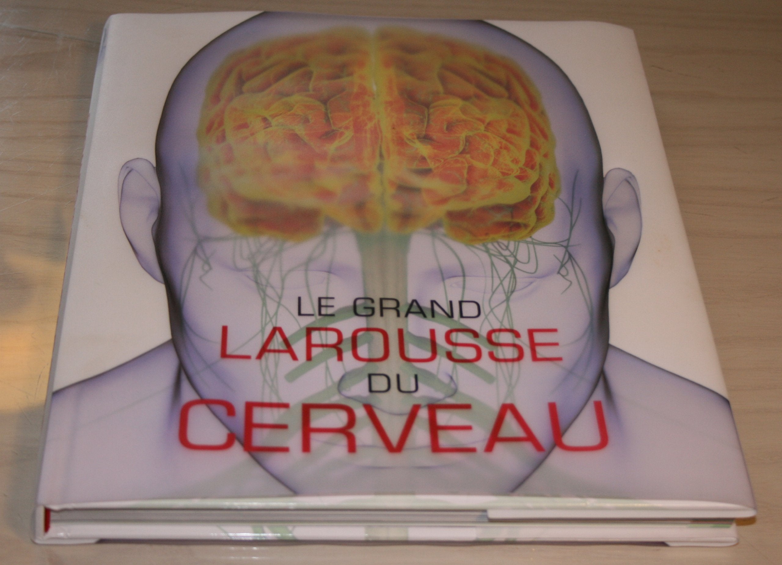 Le grand Larousse du cerveau 9782035849458