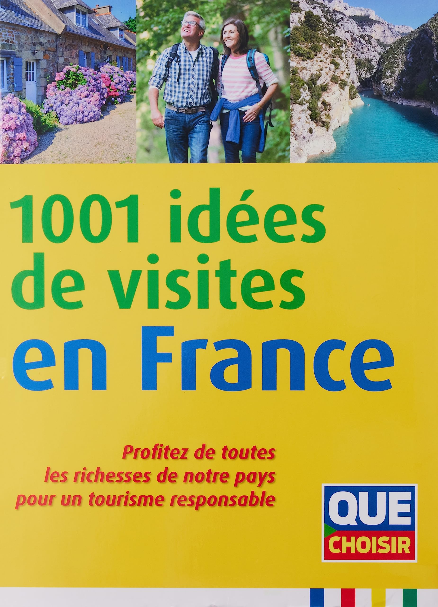 1001 idées de visites en France: Profitez de toutes les richesses de notre pays pour un tourisme responsable 9791093588155