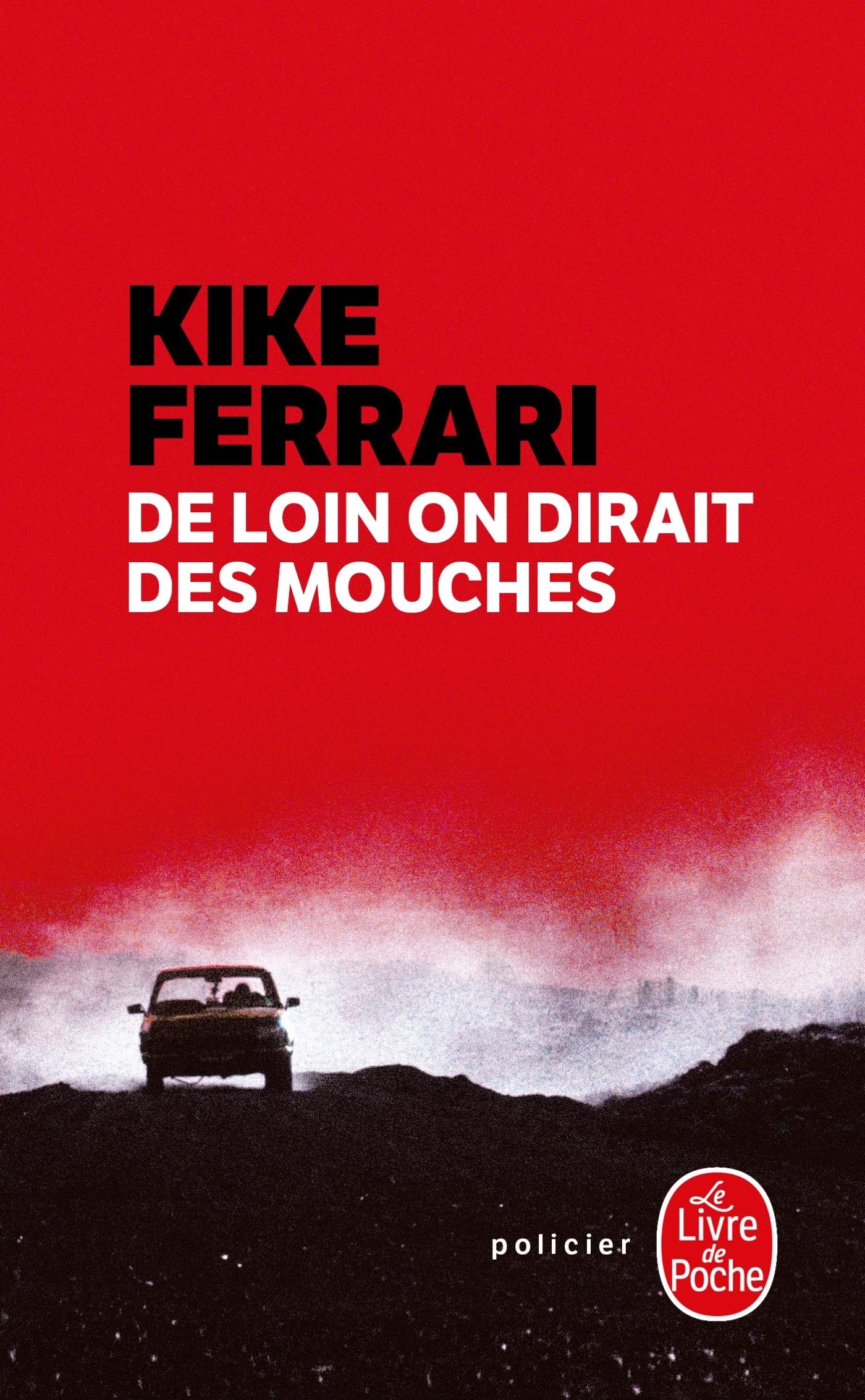 De loin on dirait des mouches 9782253181415