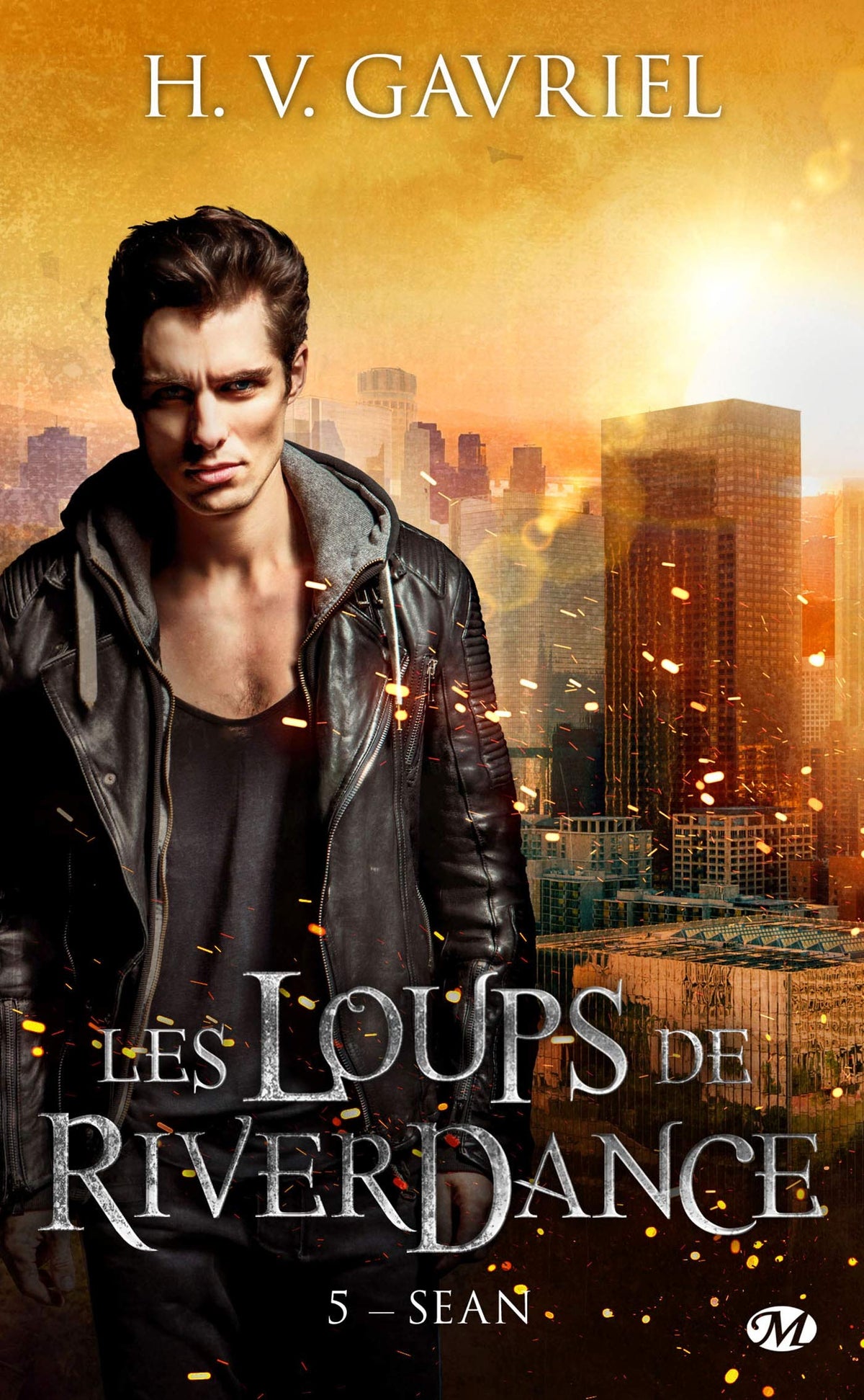 Les Loups de Riverdance, T5 : Sean 9782811234133