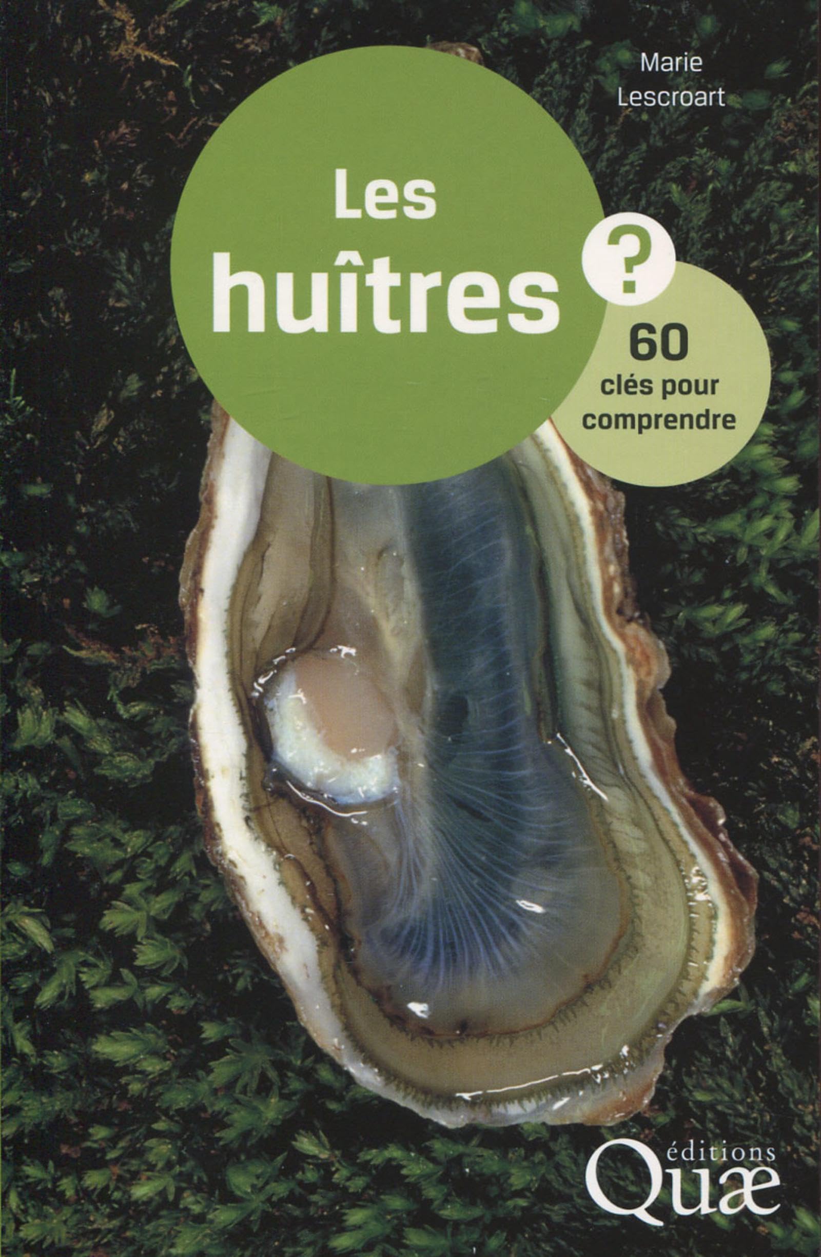 Les huîtres: 60 clés pour comprendre 9782759226481