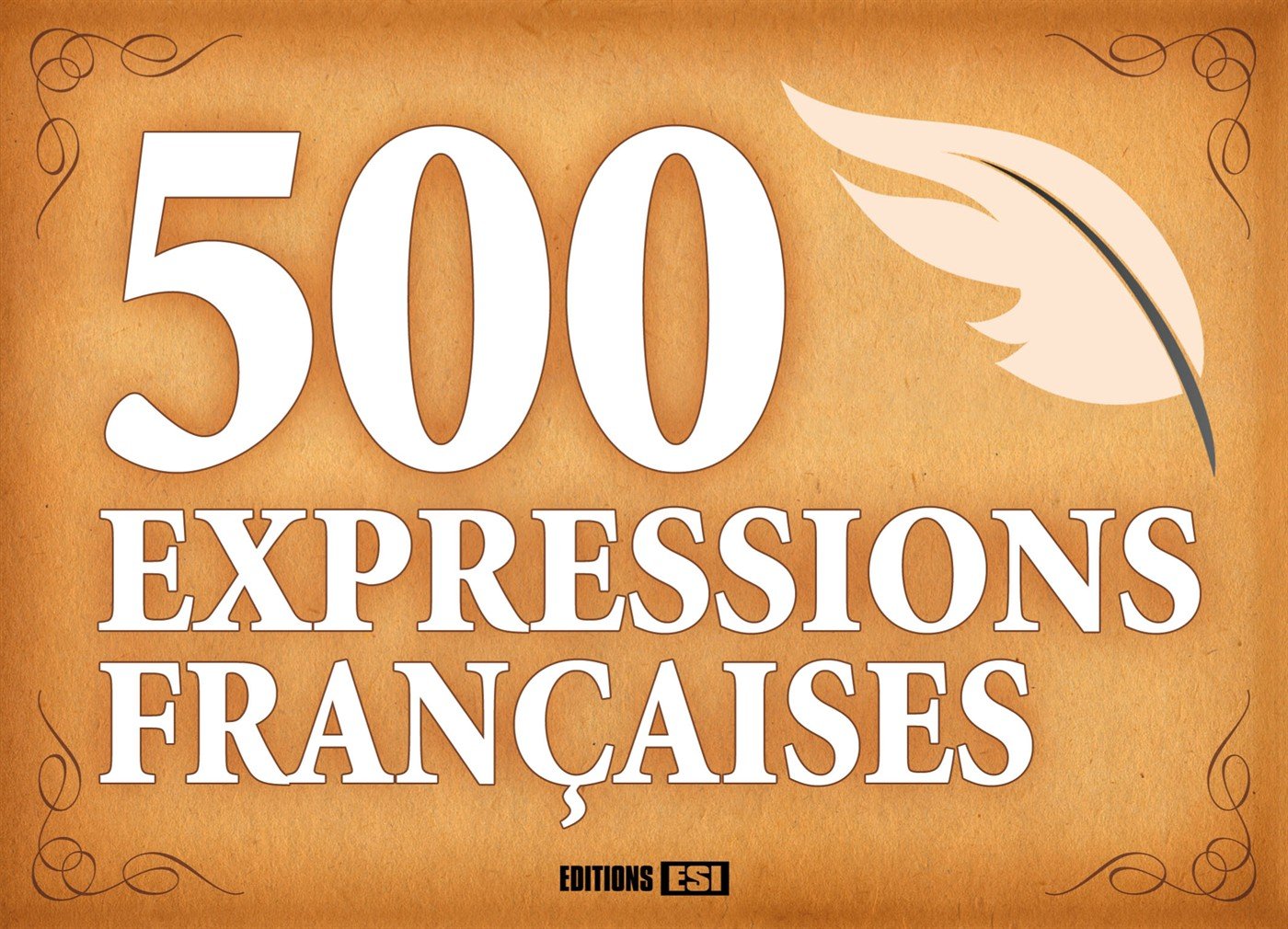 500 EXPRESSIONS FRANCAISES (0) 9782822602884
