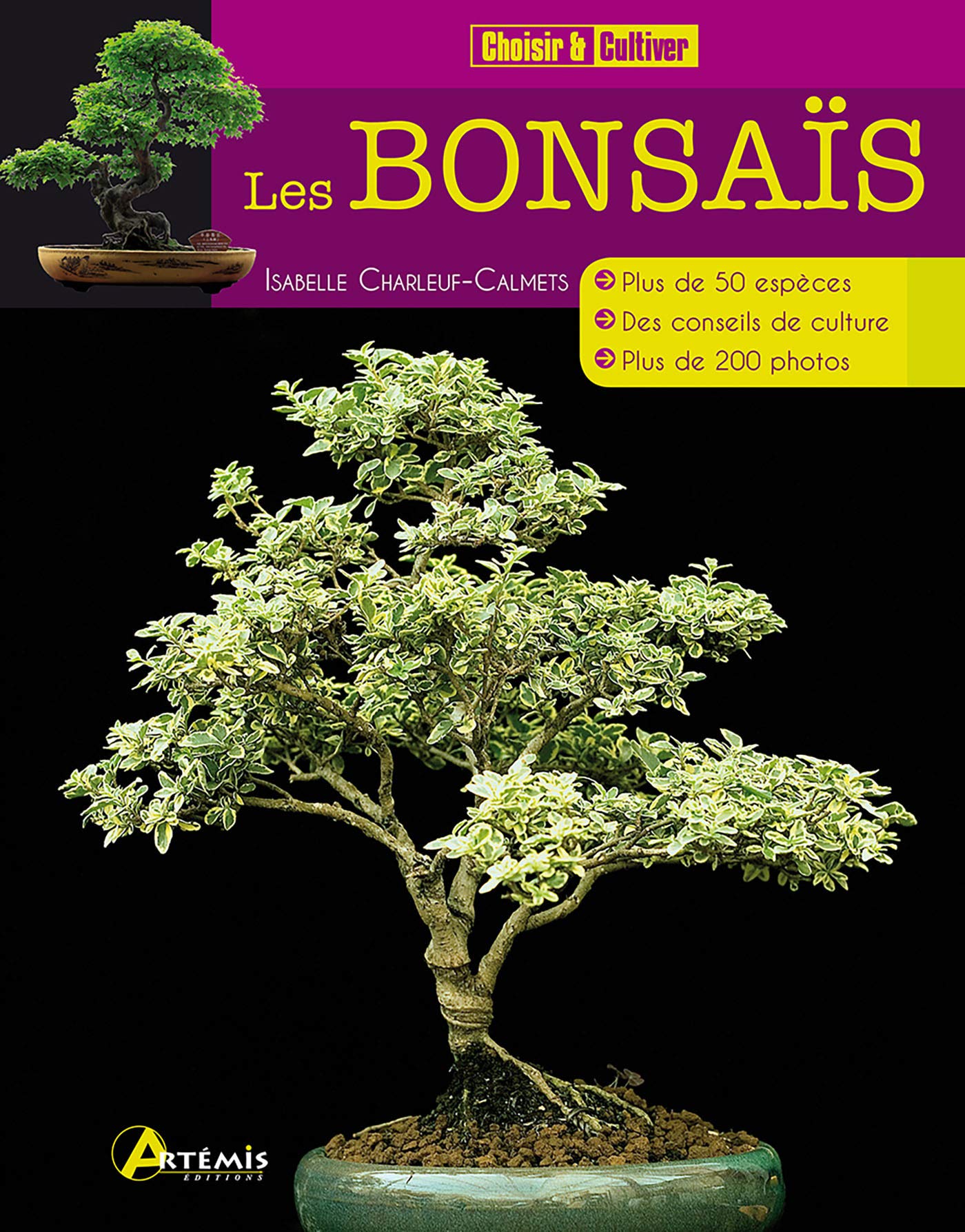 Les bonsaïs 9782816002782