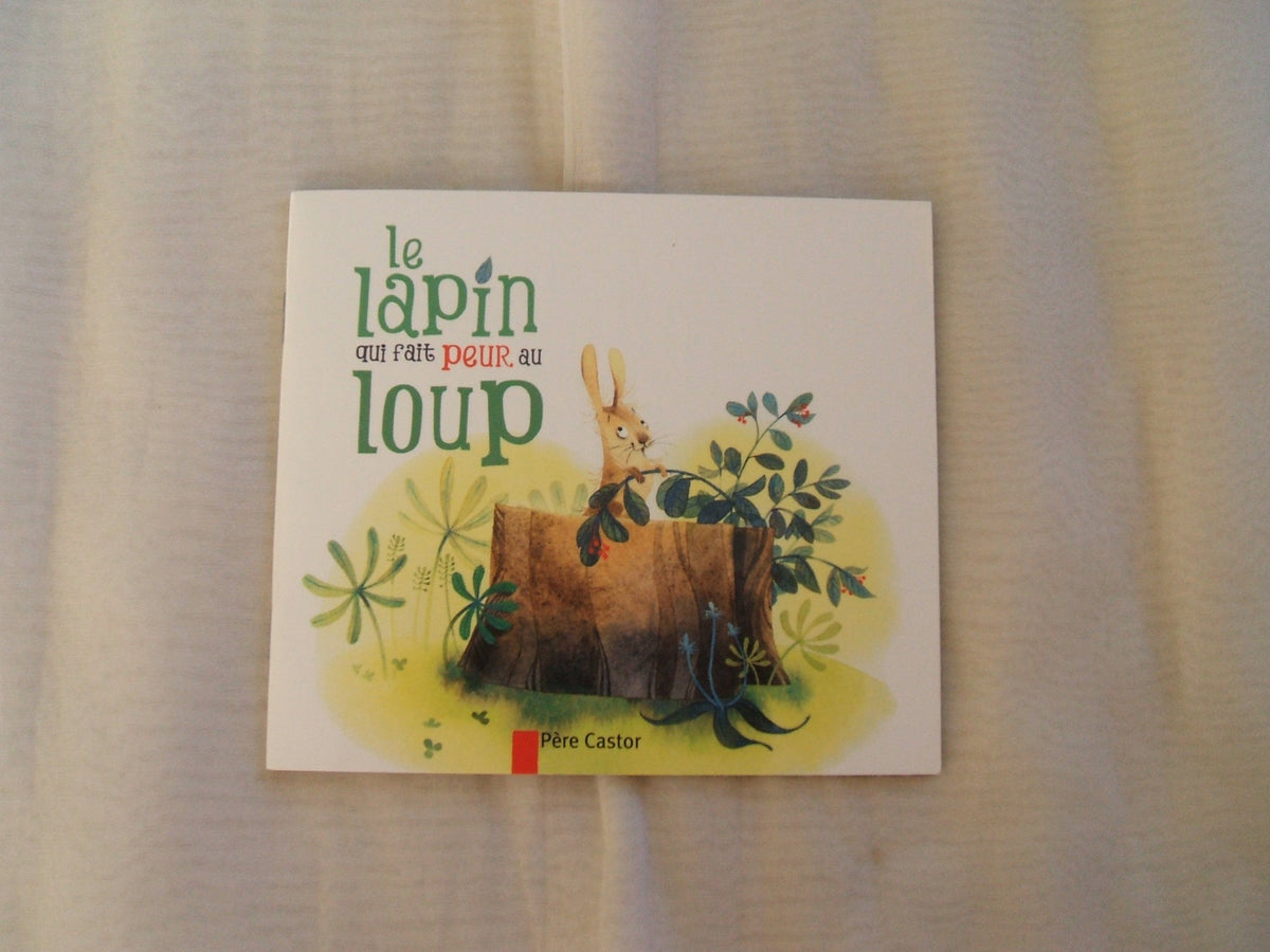 Le lapin qui fait peur au loup 9782081306813