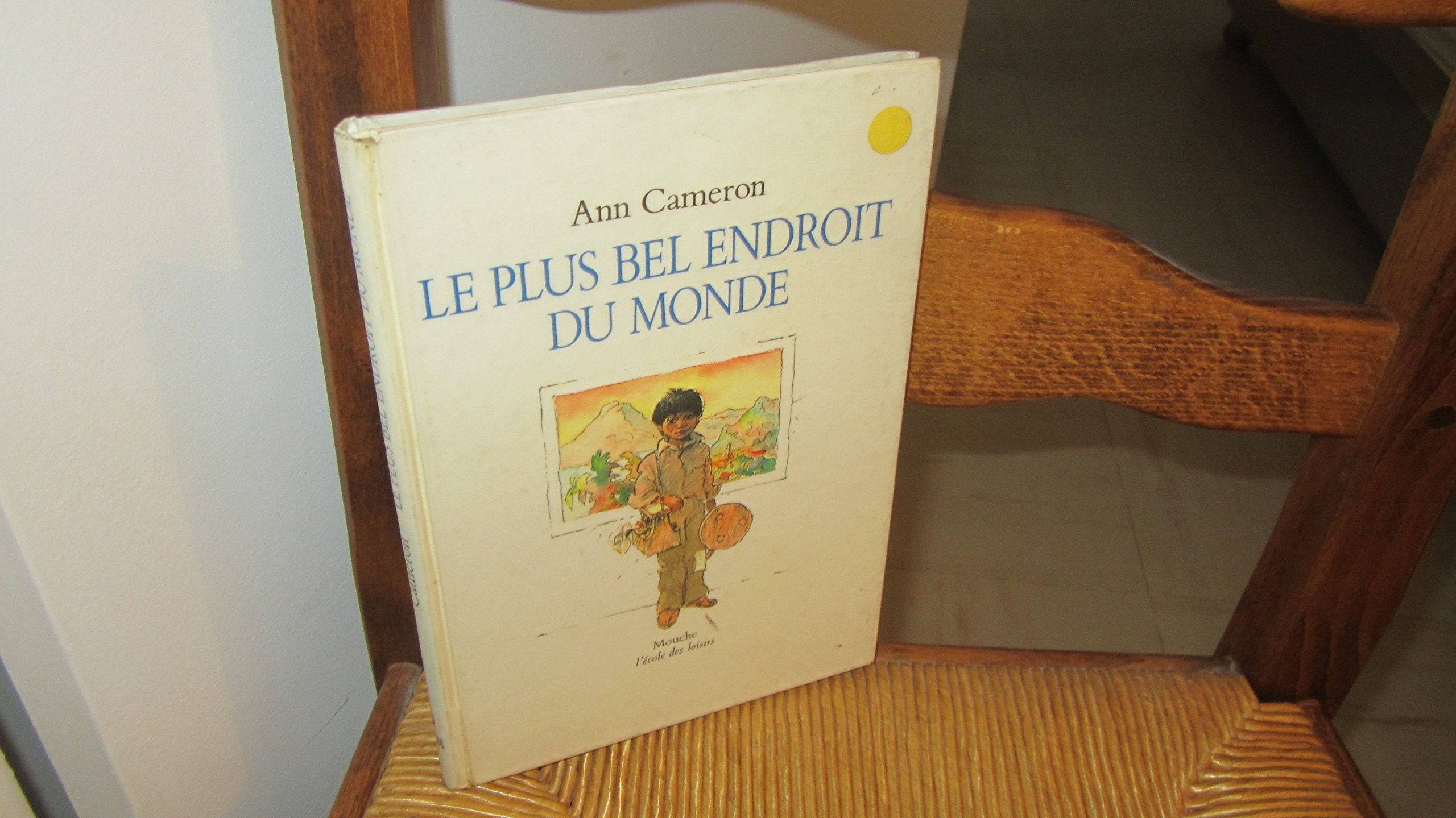 plus bel endroit du monde (le) 9782211050258