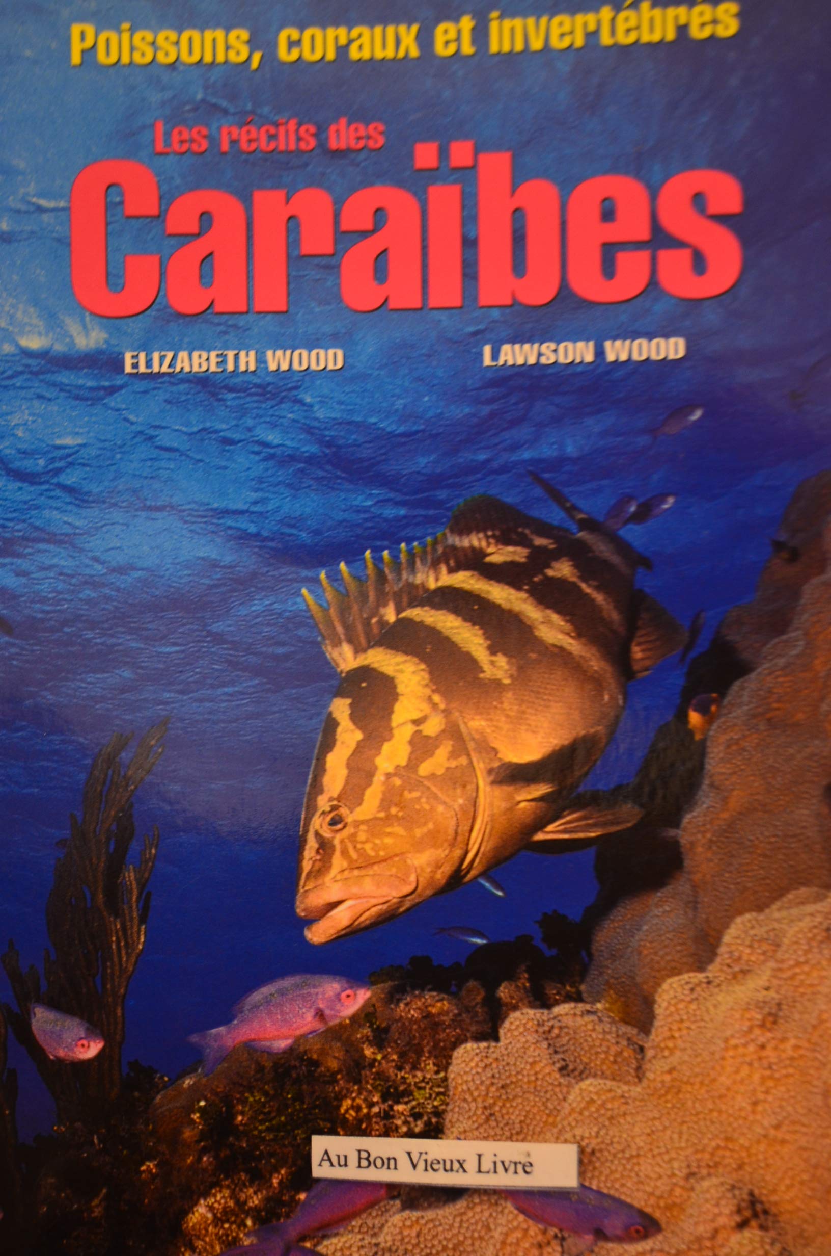 Les récifs des Caraïbes 9783829071611