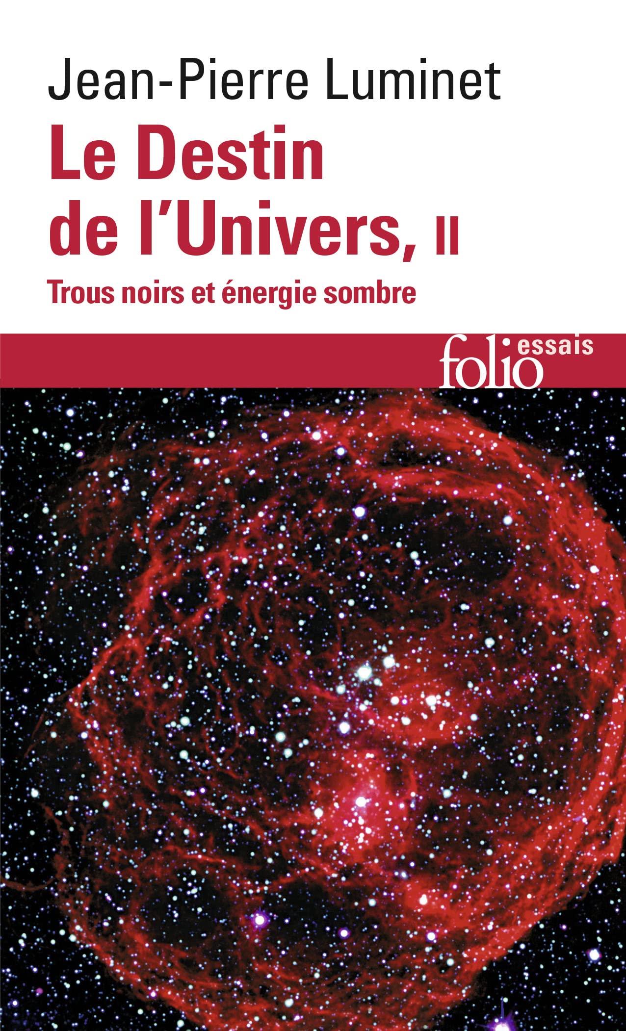 Le Destin de l'Univers (Tome 2): Trous noirs et énergie sombre 9782070439775