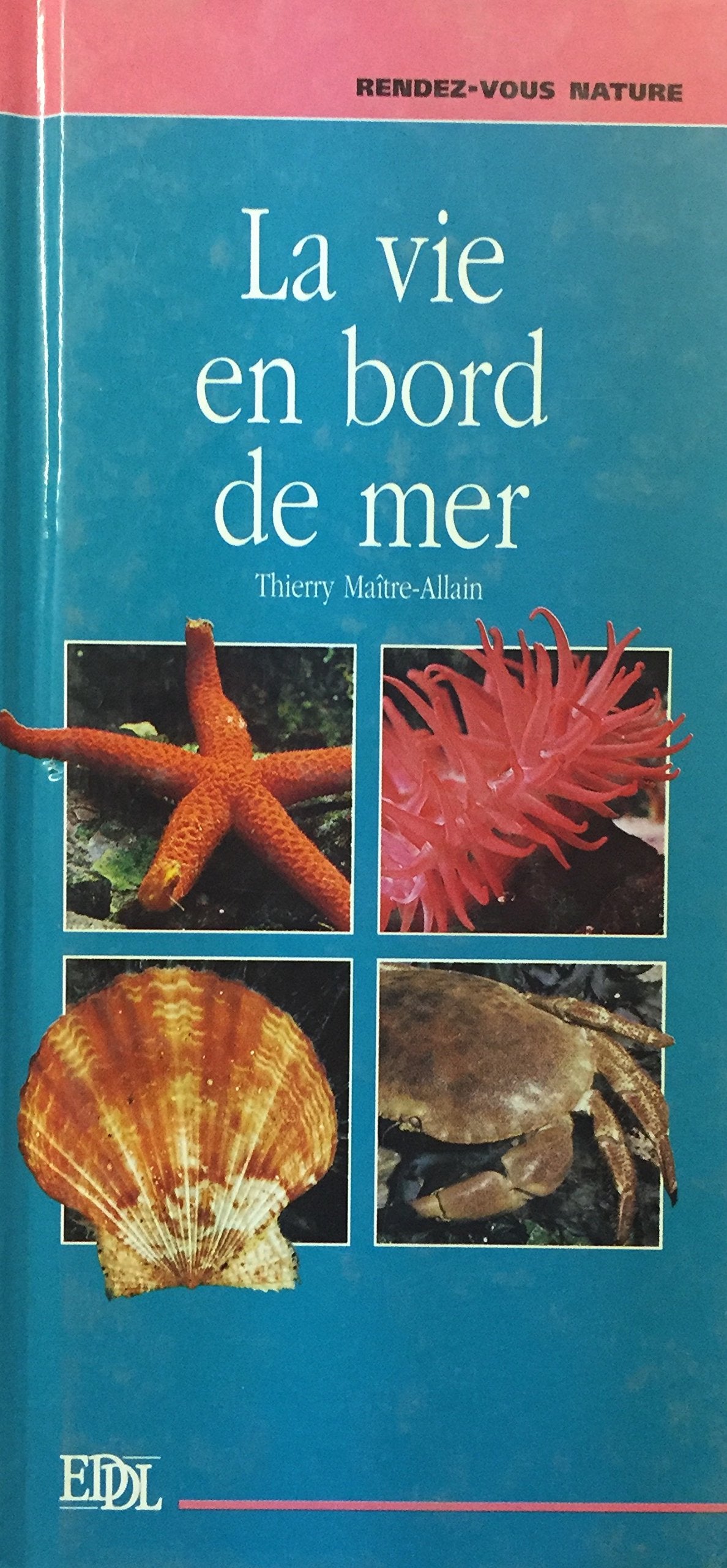 La vie en bord de mer (Rendez-vous nature) [Broché] by Maître-Allain, Thierry 9782237001838