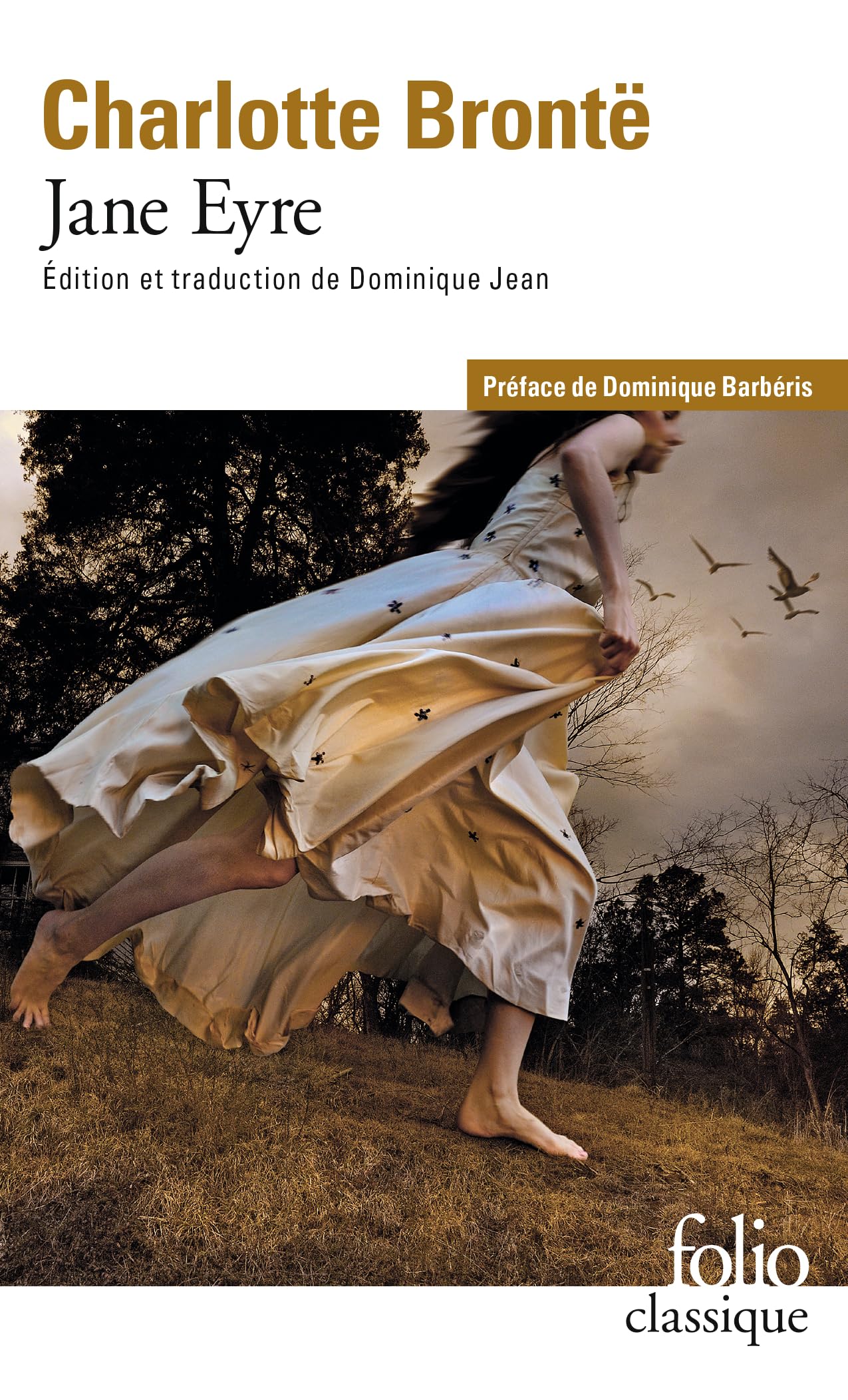 Jane Eyre 9782070446056