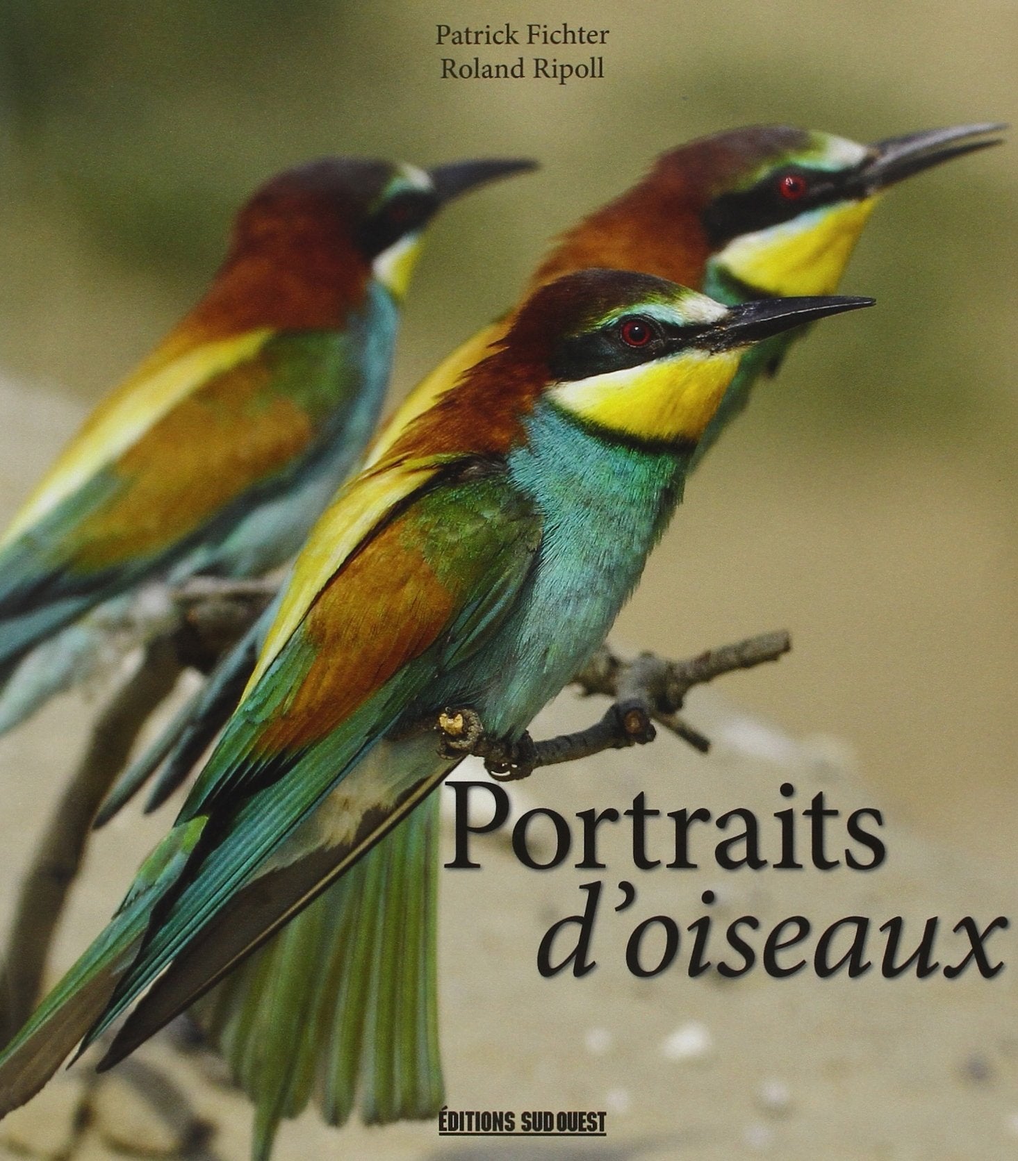 Portraits D'Oiseaux 9782817703183