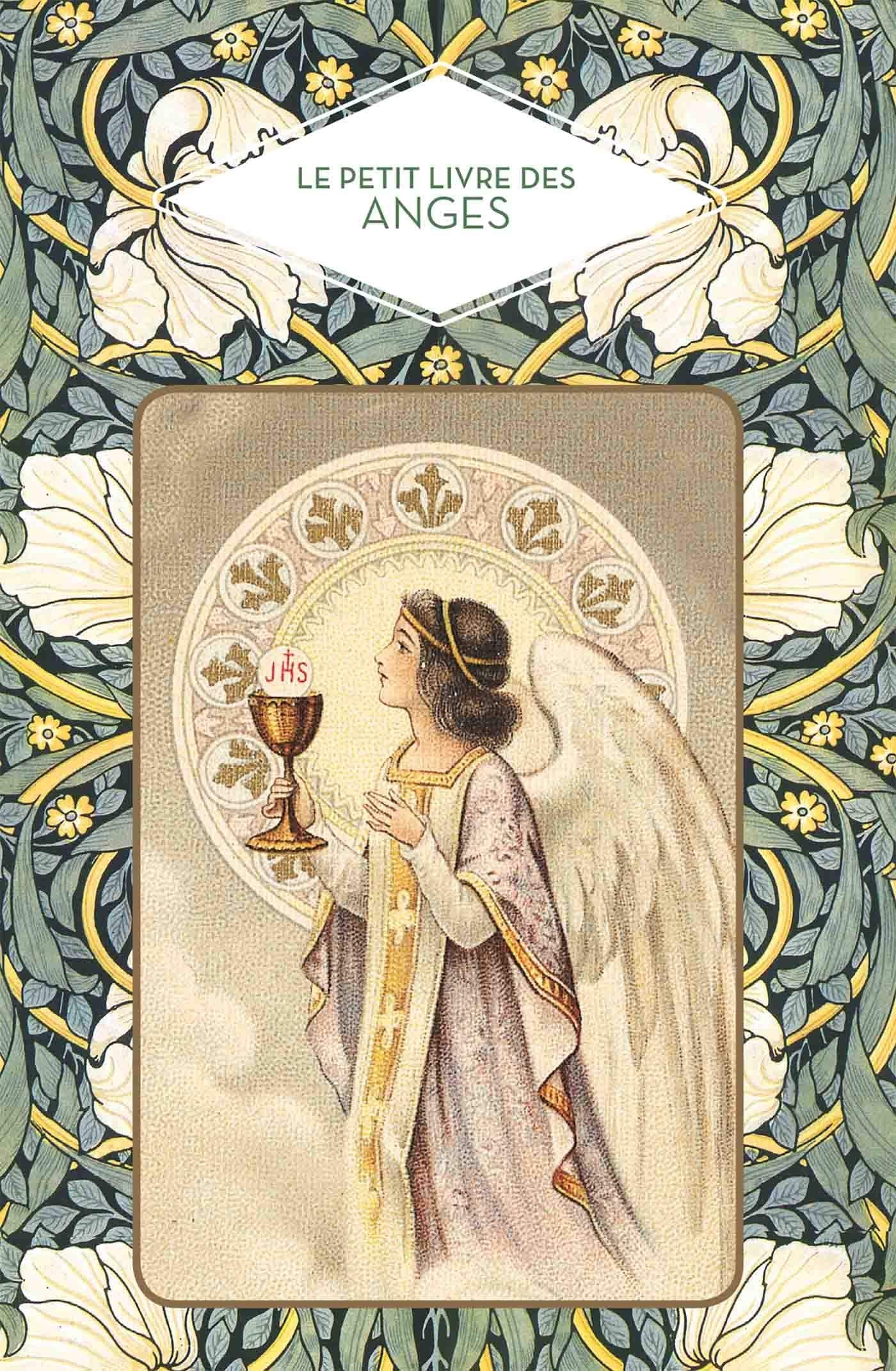 Le petit livre des anges - Nouvelle édition 9782379640506