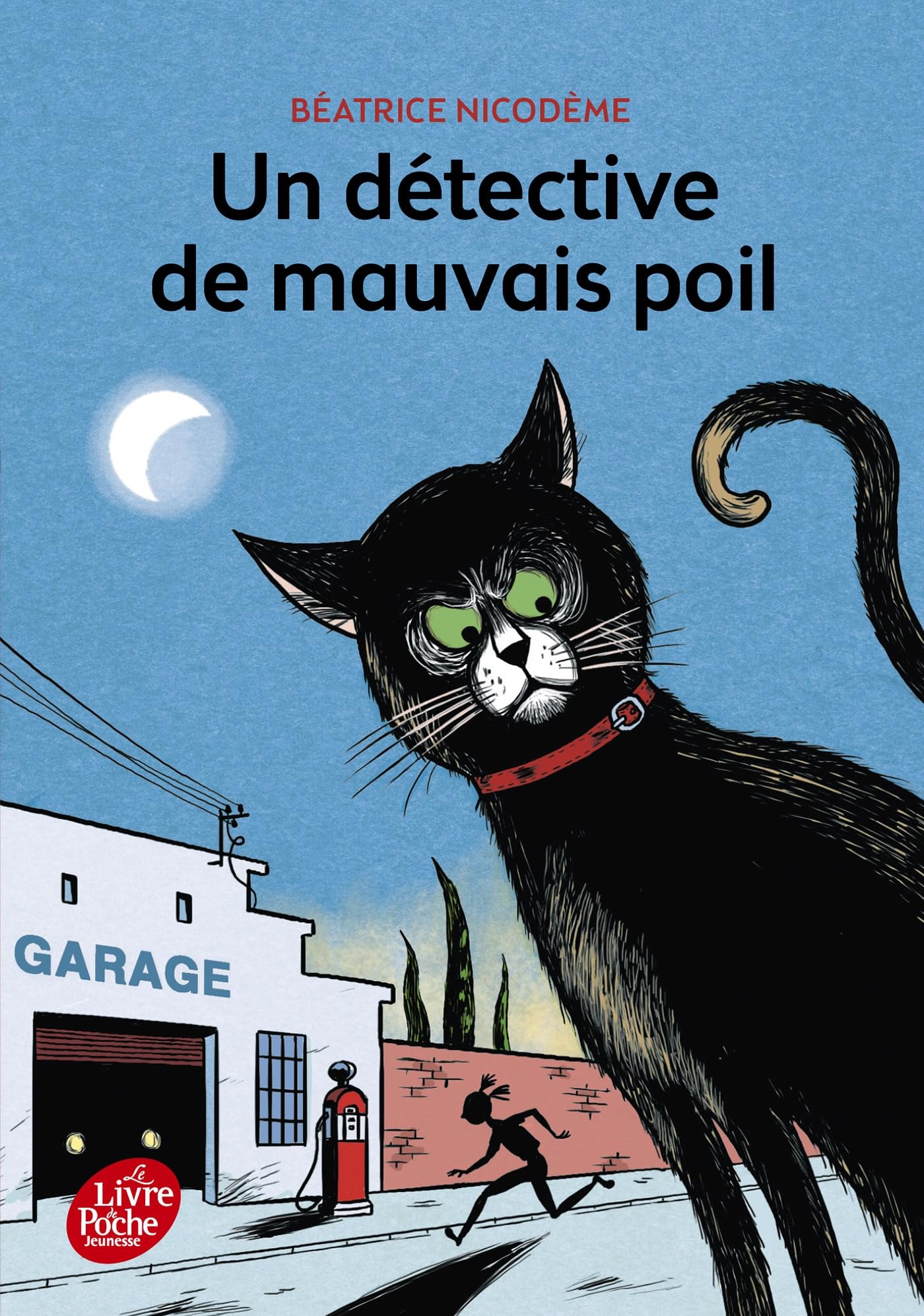 Un détective de mauvais poil 9782011810243