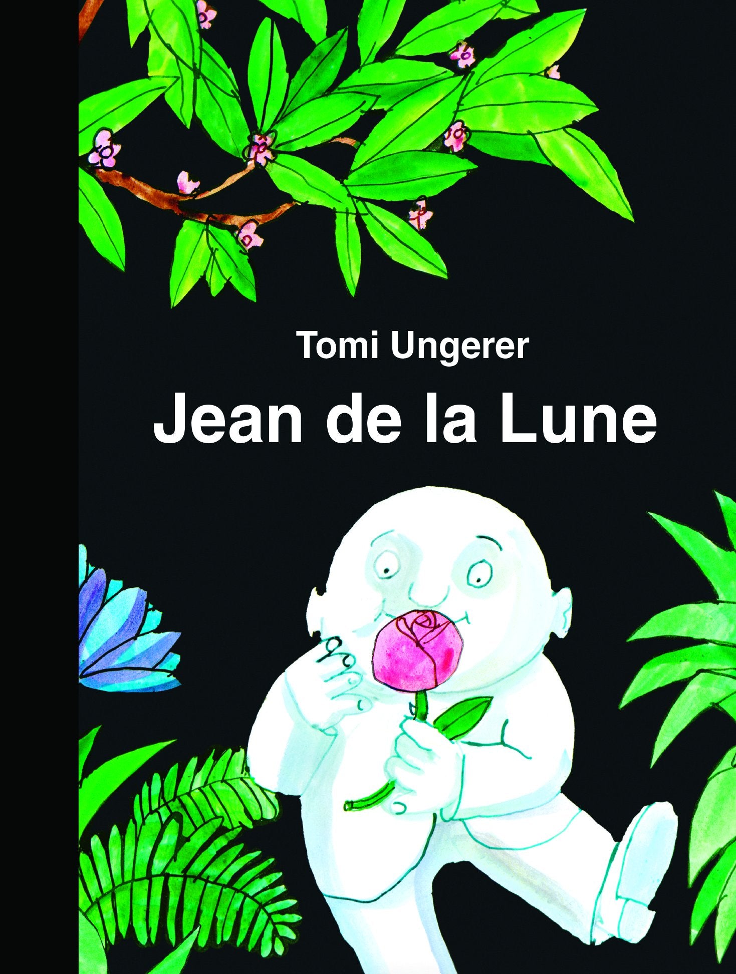 Jean de la Lune 9782211235556