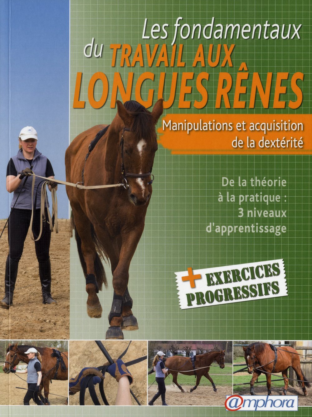 Les fondamentaux du travail aux longues rênes 9782851807922