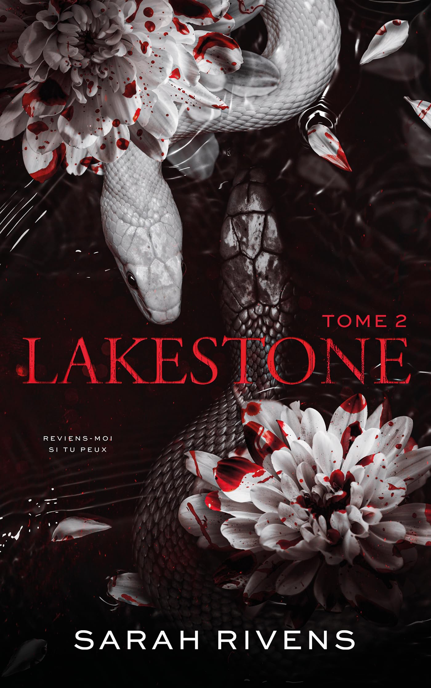 Lakestone - tome 2 9782017286219