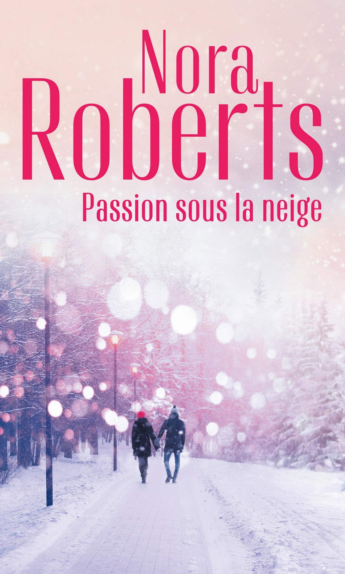 Passion sous la neige 9782280434096