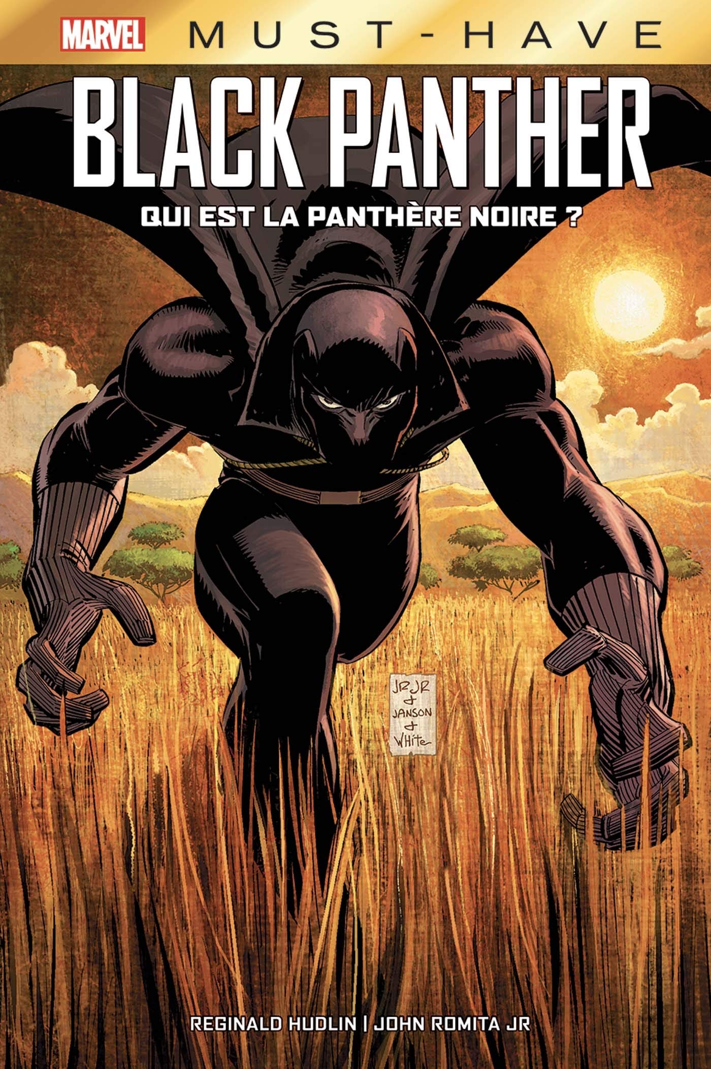 Black Panther: Qui est la Panthère Noire ? 9782809494341