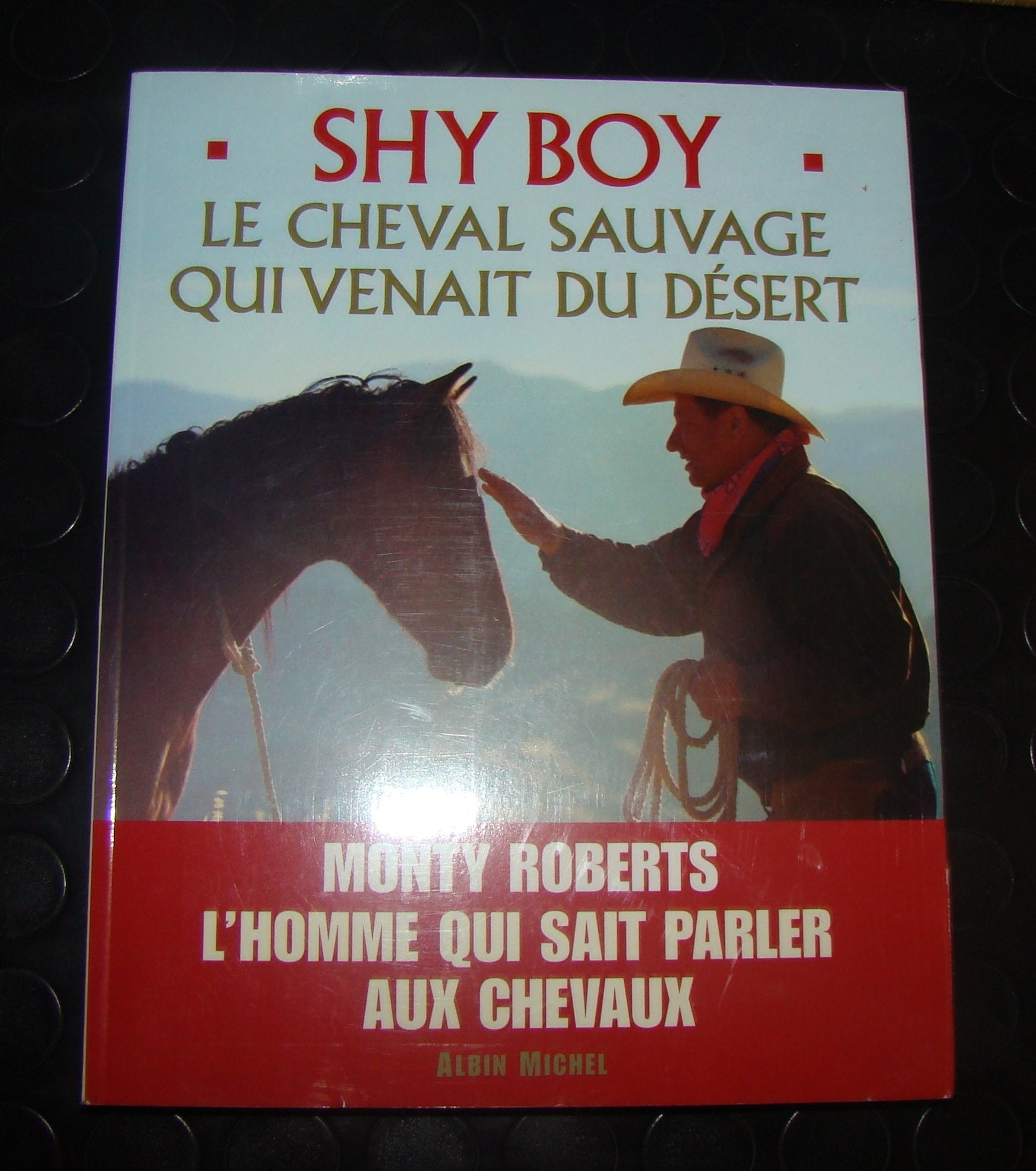 Shy Boy : Le cheval sauvage qui venait du désert 9782226110763