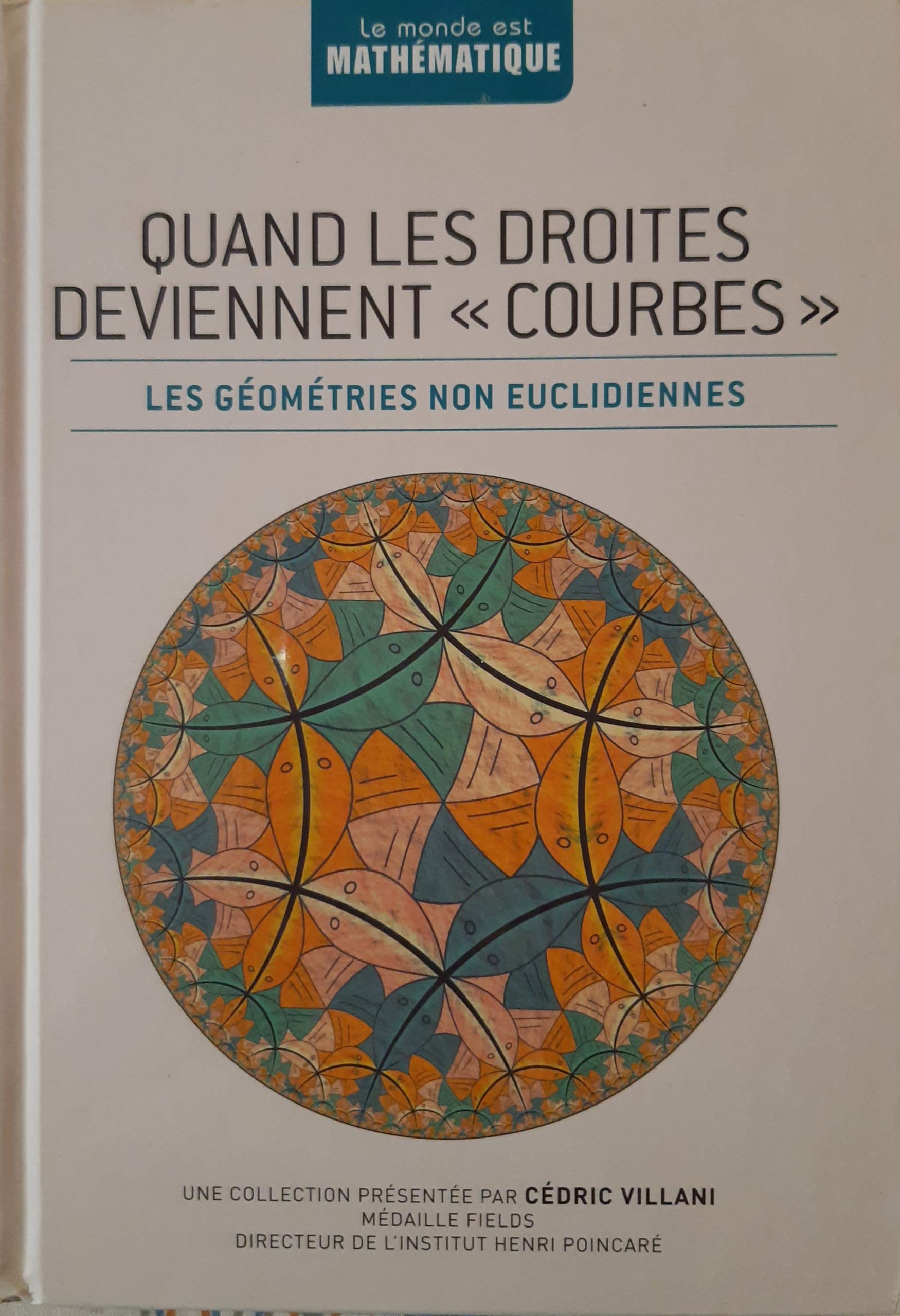 QUAND LES DROITES DEVIENNENT COURBES.LES GEOMETRIES NON EUCLIDIENNES 