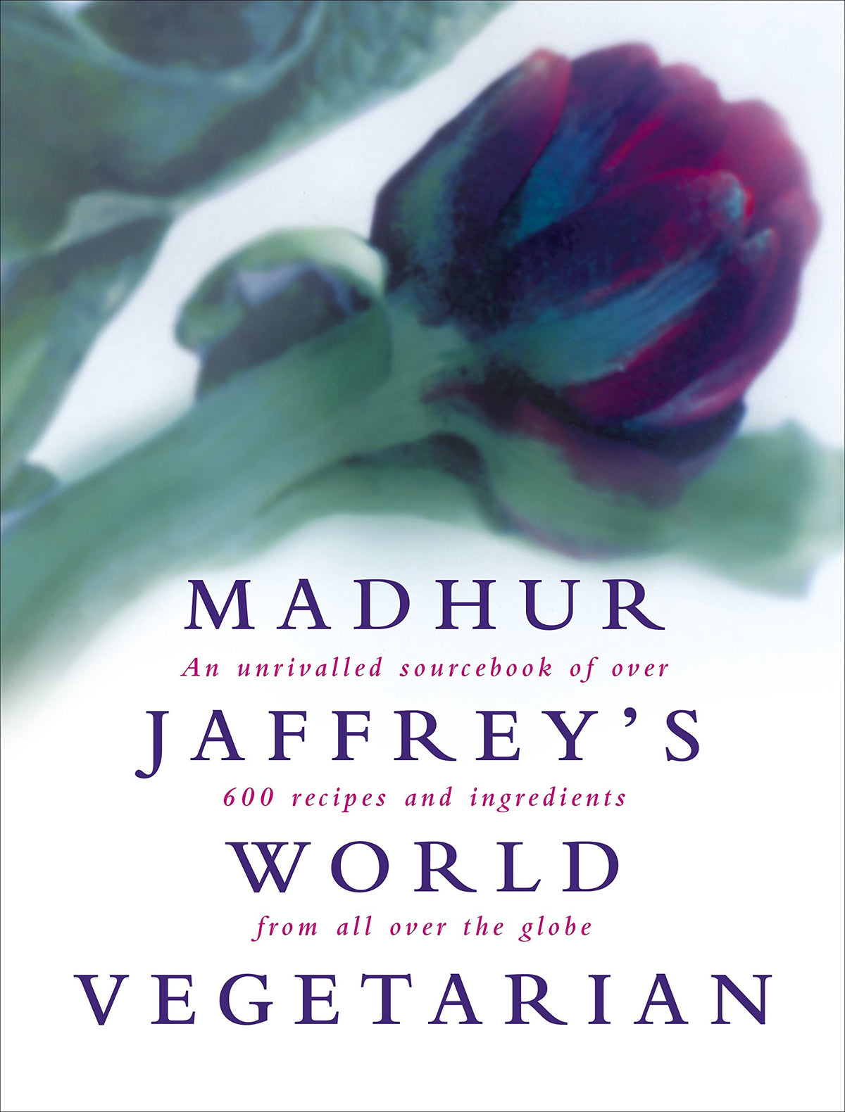 Madhur Jaffrey's World Vegetarian 9780091863647
