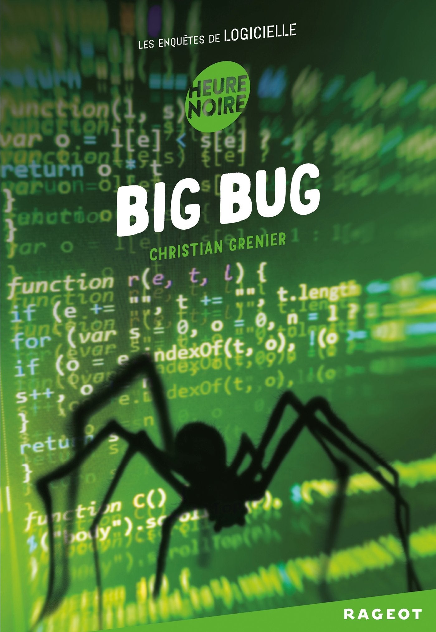 Big bug: Les enquêtes de Logicielle 9782700252118