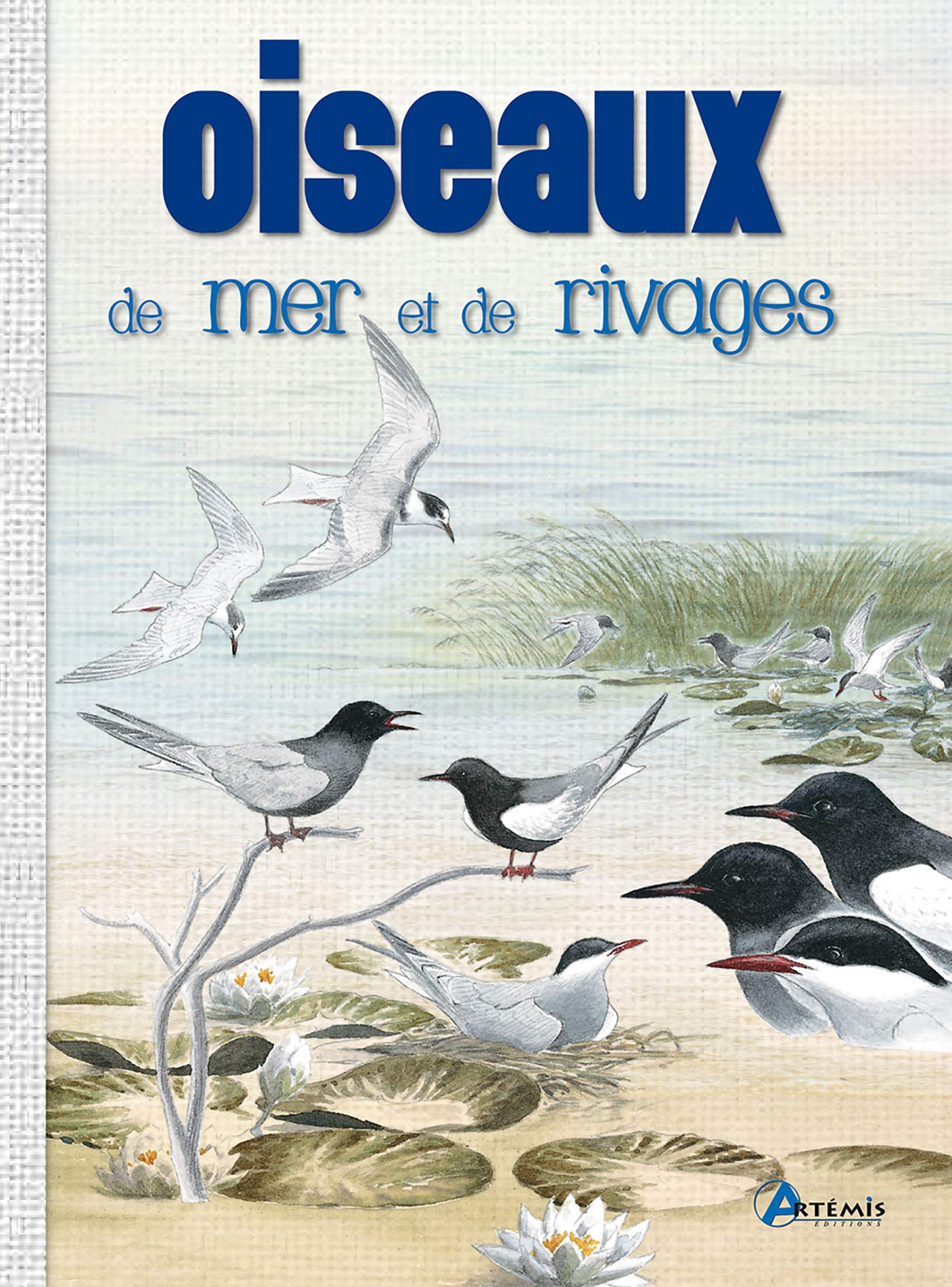 Oiseaux de mer et de rivages (0) 9782816003659