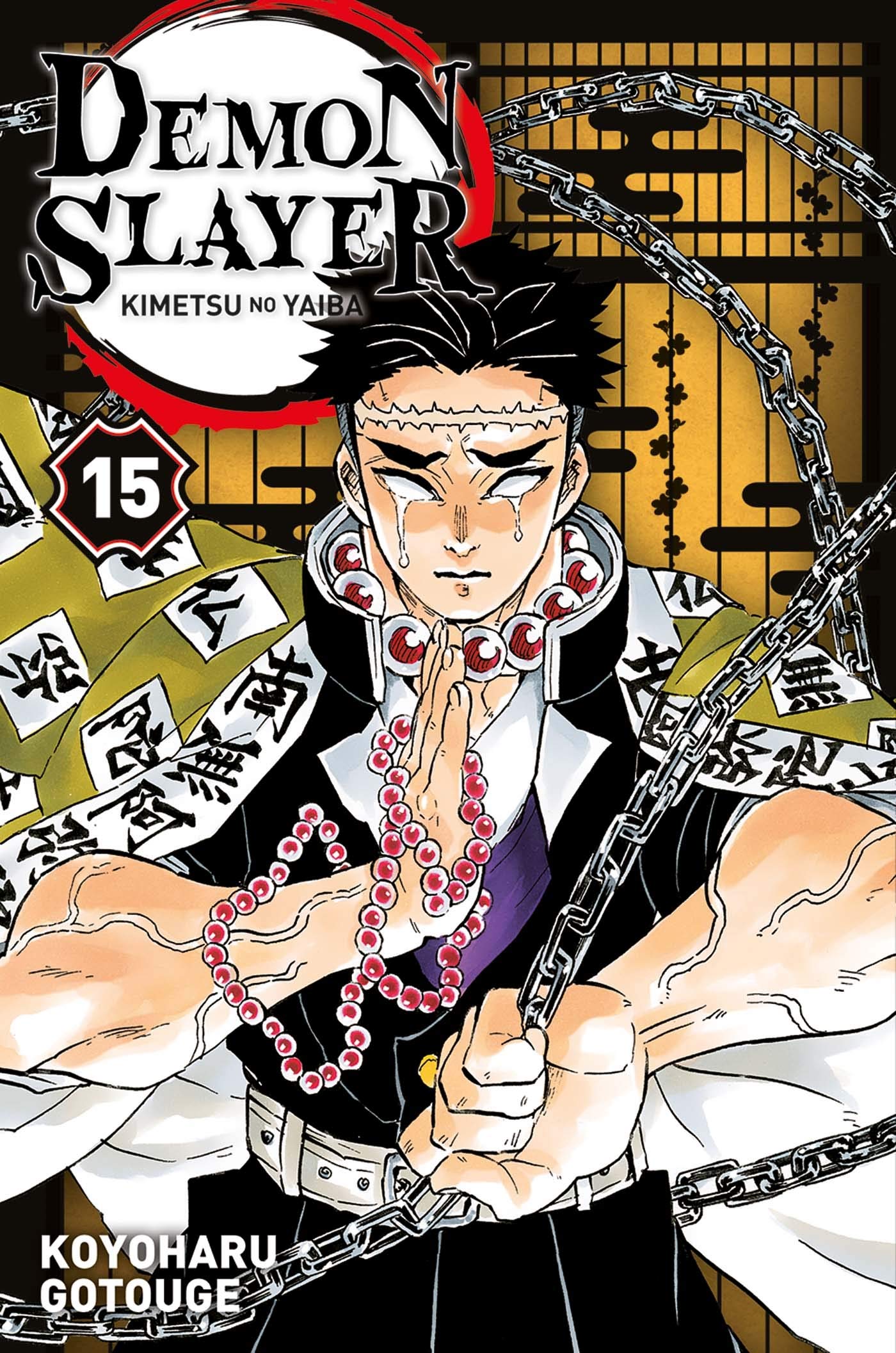 Demon Slayer T15 9782809493900
