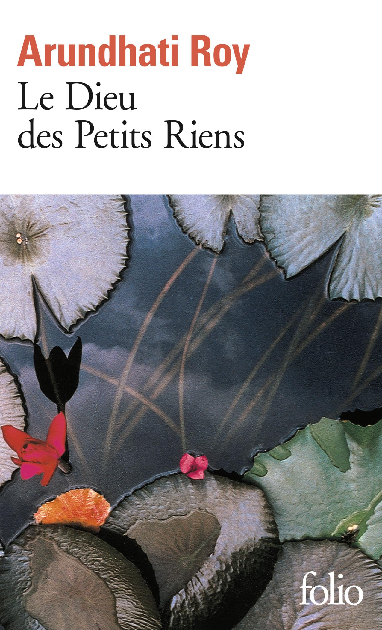 Le Dieu des Petits Riens 9787780016377