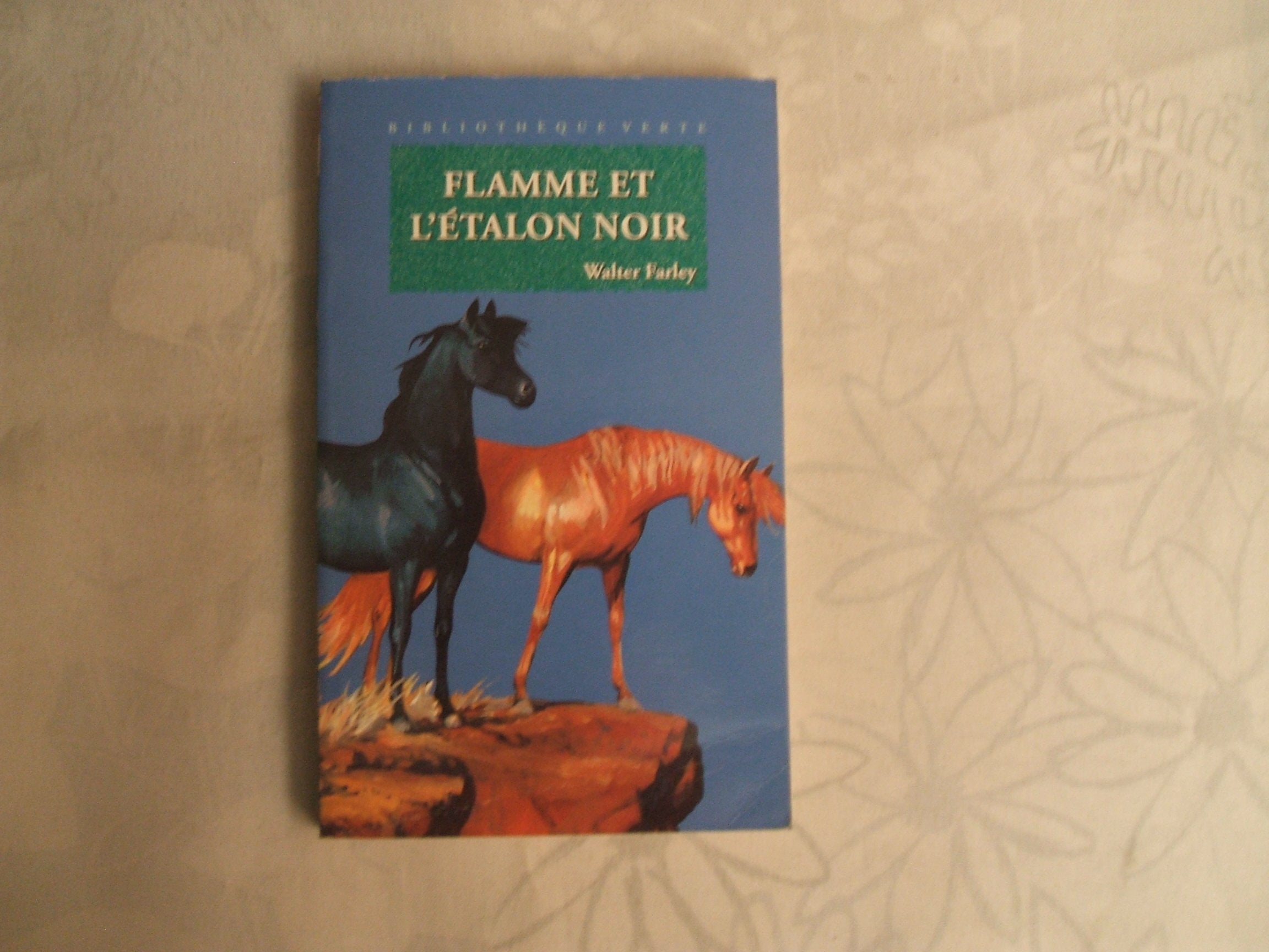 Flamme et l'étalon noir 9782010173073