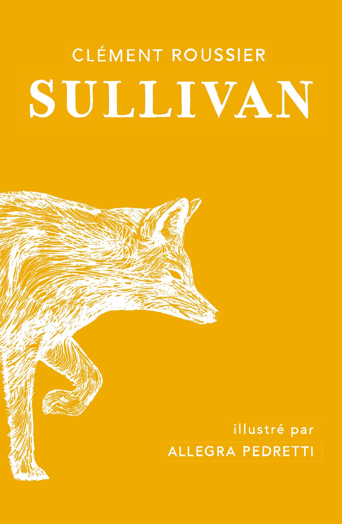 Sullivan 9782211304566