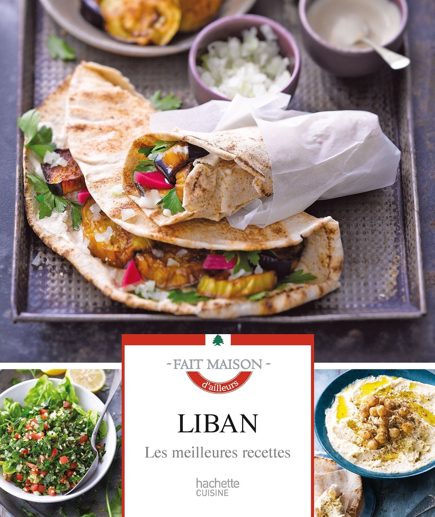 Liban: Les meilleures recettes 9782013963862