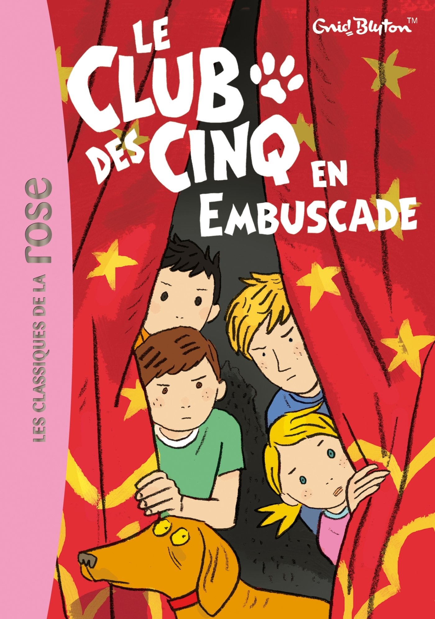 Le Club des Cinq 21 - Le Club des Cinq en embuscade 9782012020283