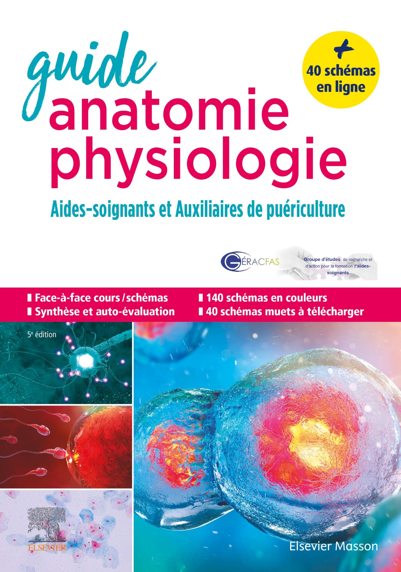 Guide anatomie et physiologie pour les AS et AP: Aides-soignants et Auxiliaires de puériculture - La référence 9782294766541