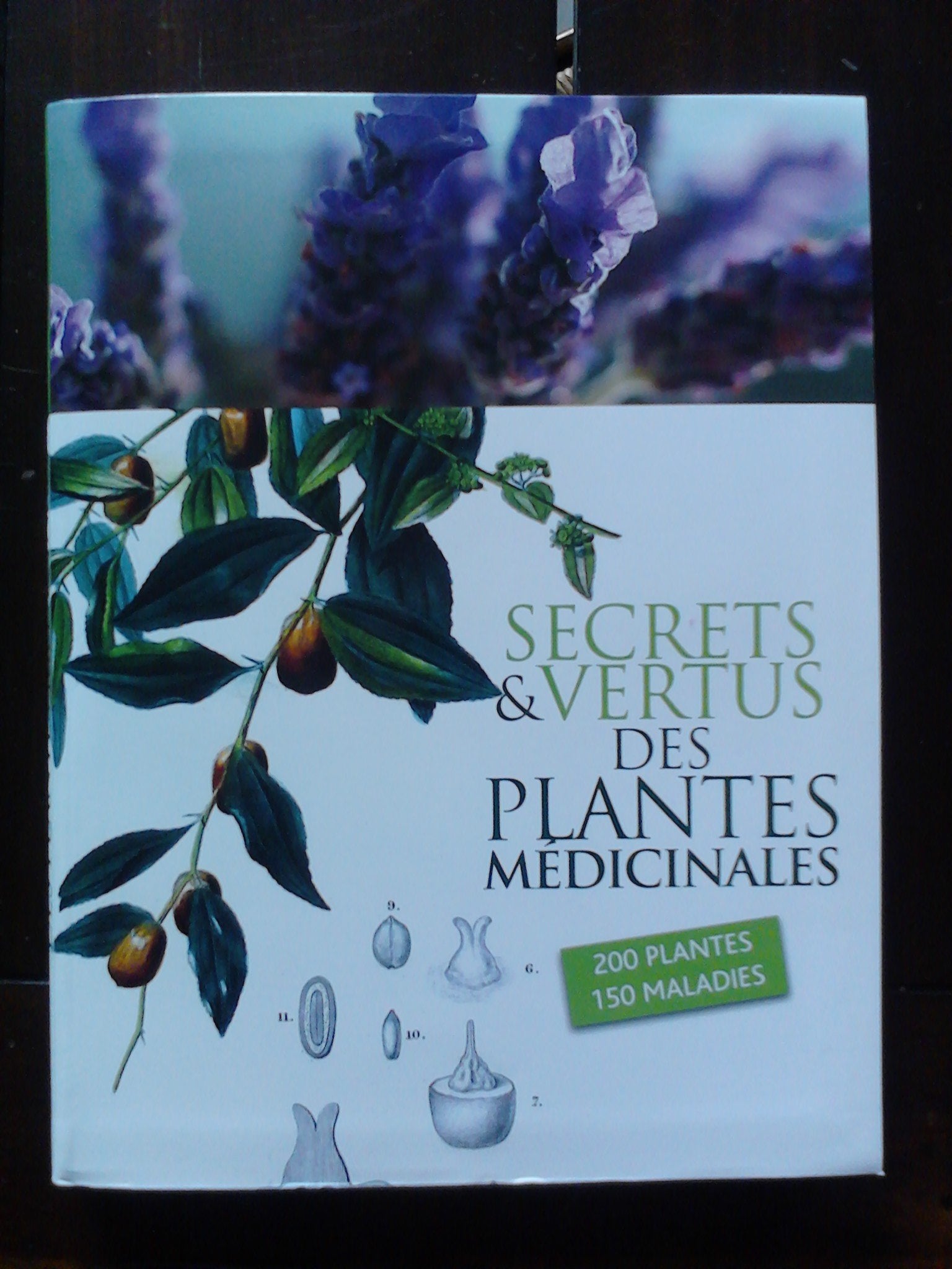 Secrets et vertus des plantes médicales 9782298049558