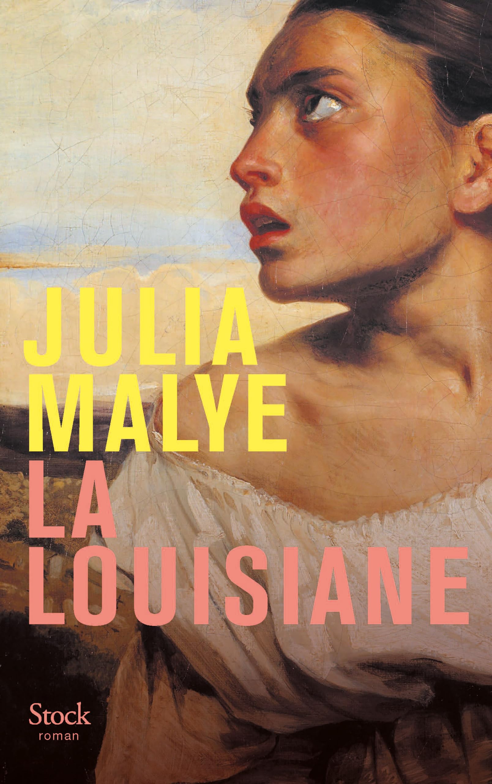 La Louisiane 9782234094116