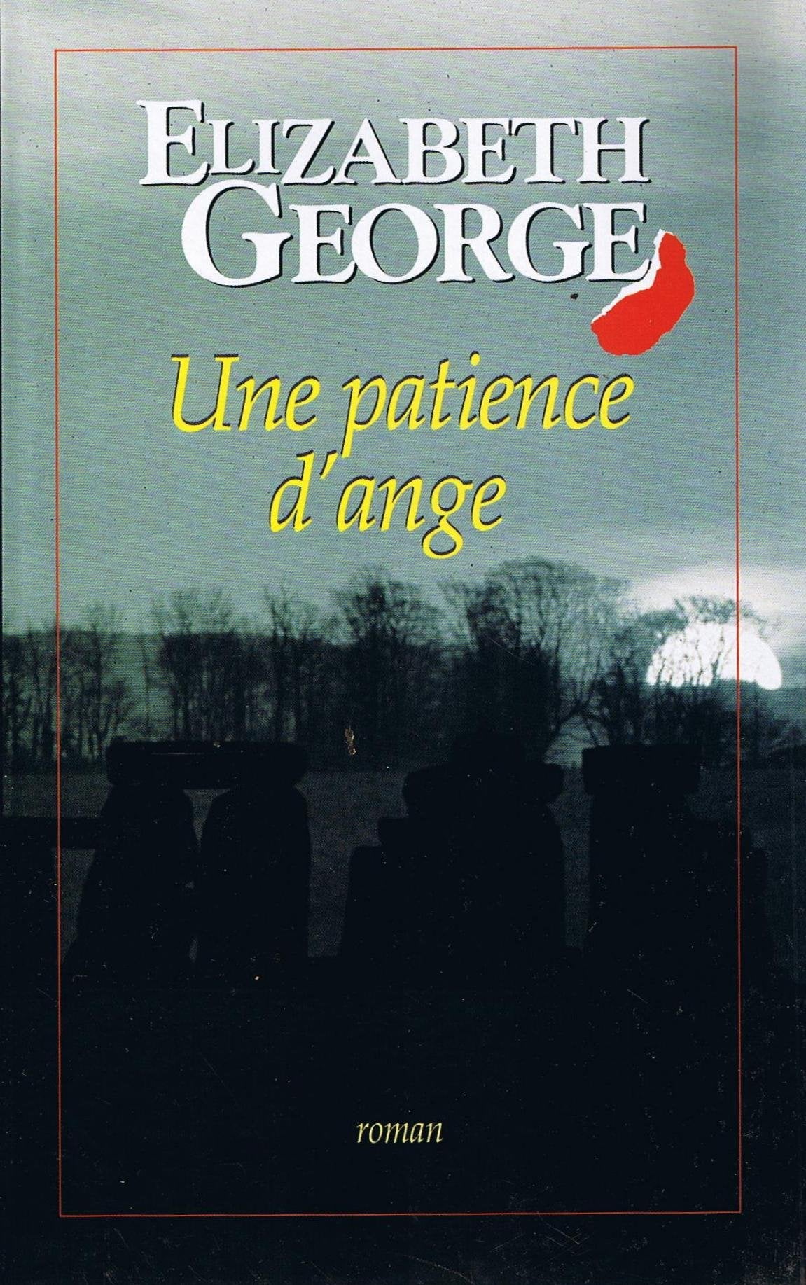 Une patience d'ange. Roman traduit de l'anglais. 9782702839379