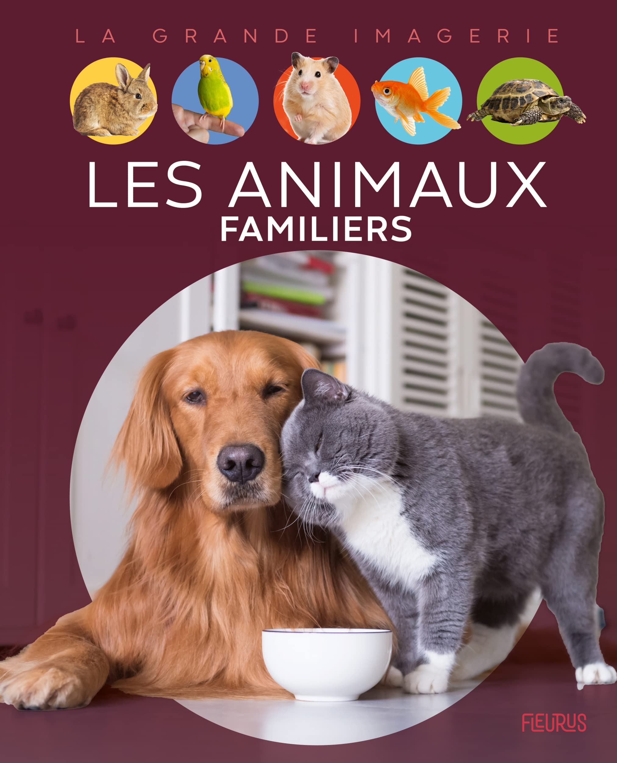 Les animaux familiers 9782215179665