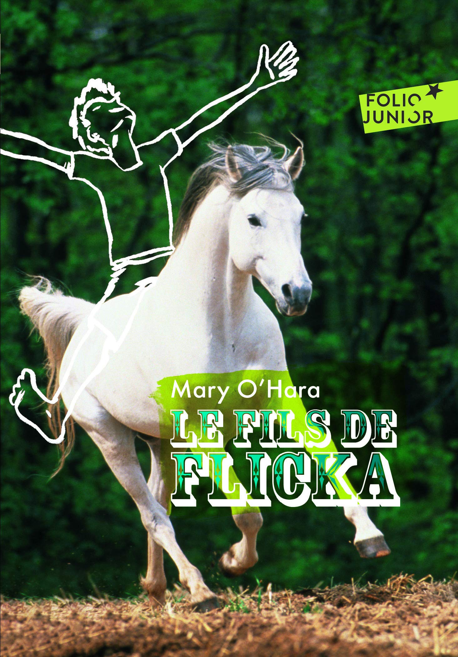 LE FILS DE FLICKA 9782070623211