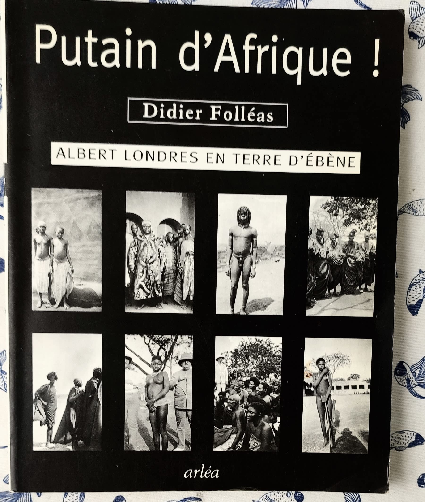 Putain d'Afrique ! 9782869593725