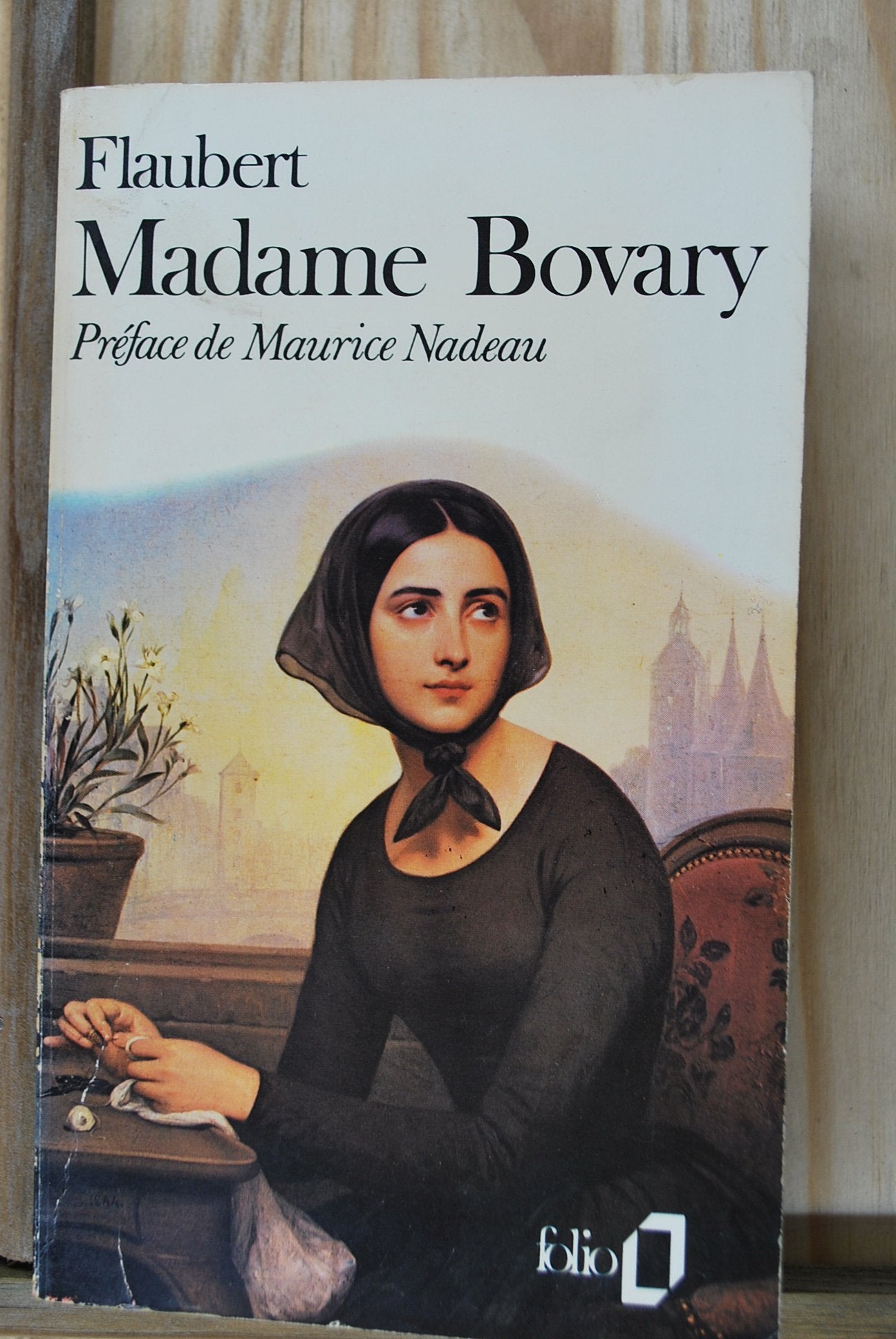 Madame Bovary 9782070368044