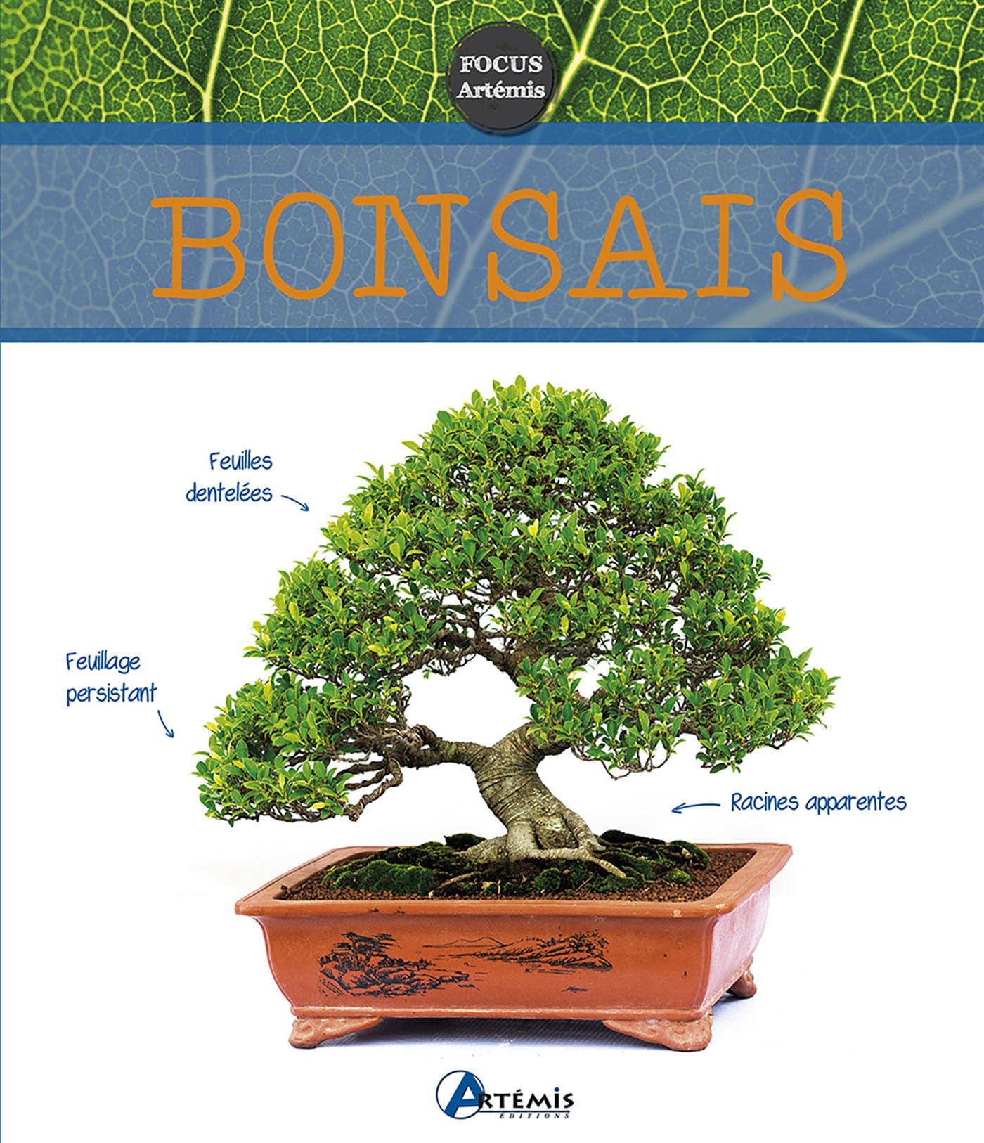 Bonsaïs 9782816006902